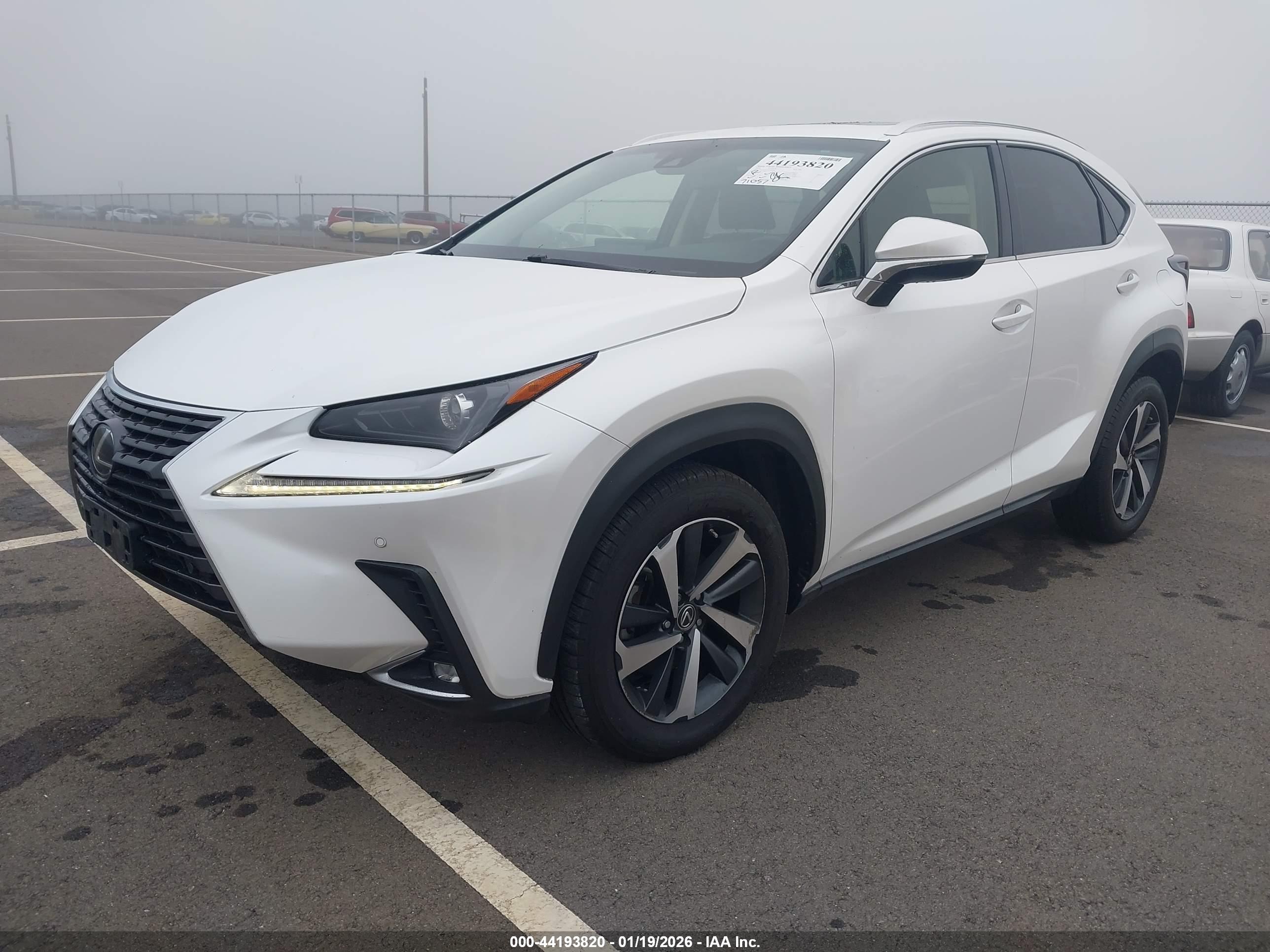 LEXUS NX image 2