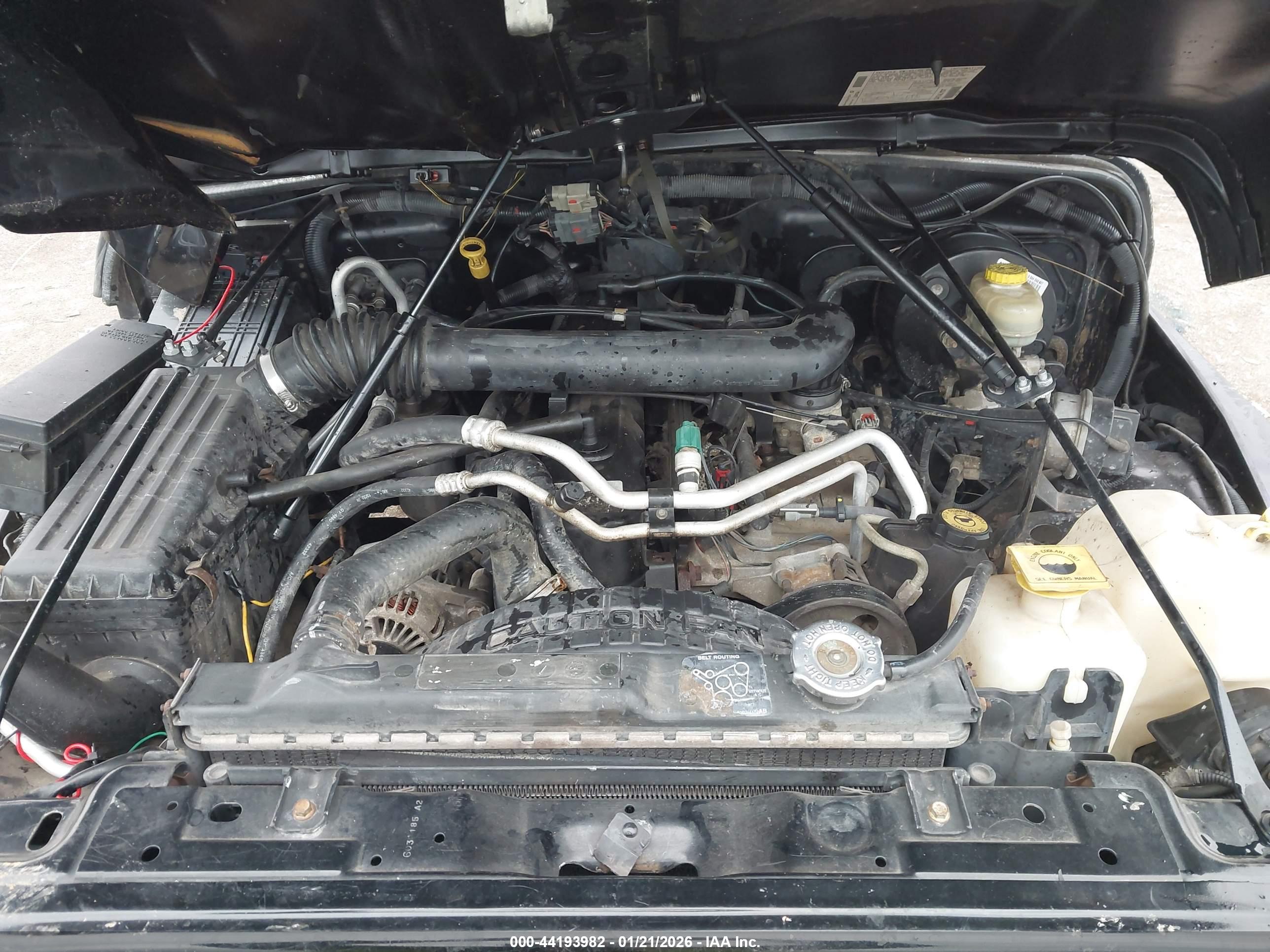 JEEP WRANGLER image 10