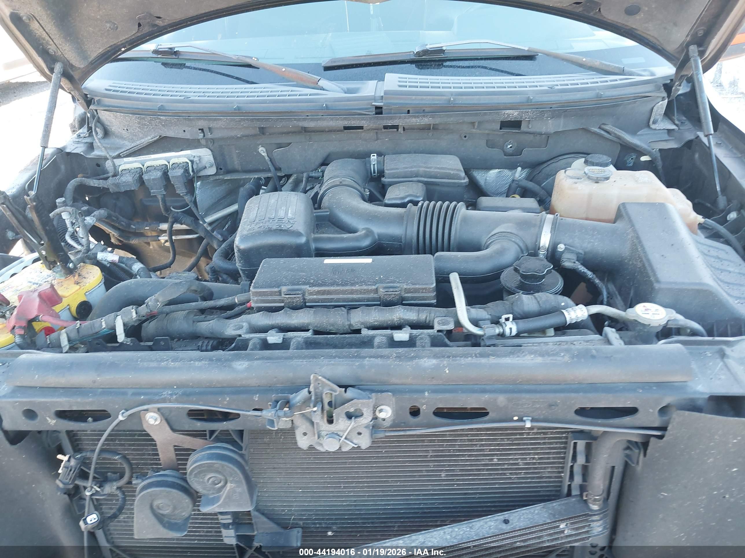 FORD F-150 image 10