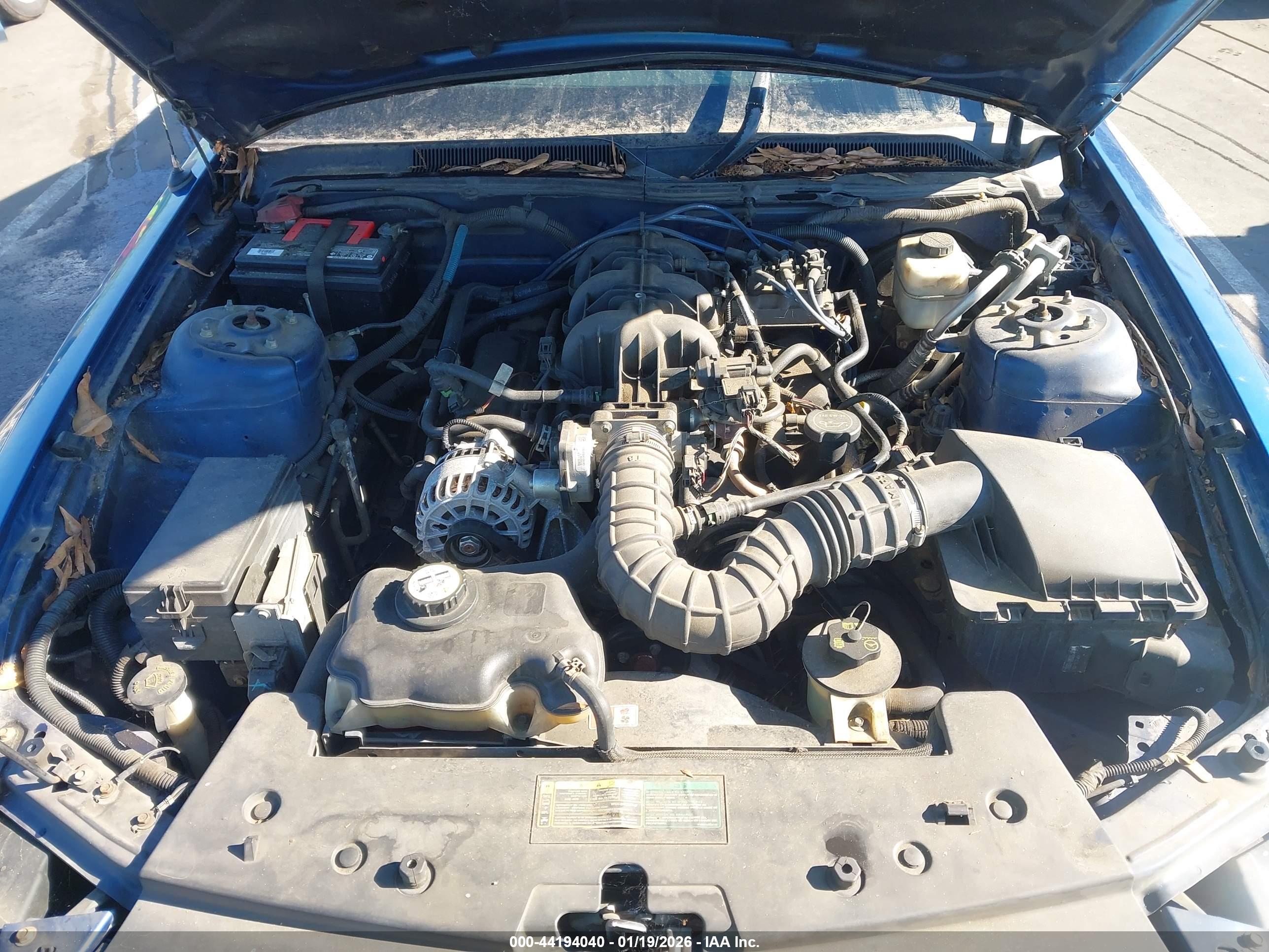 FORD MUSTANG image 10