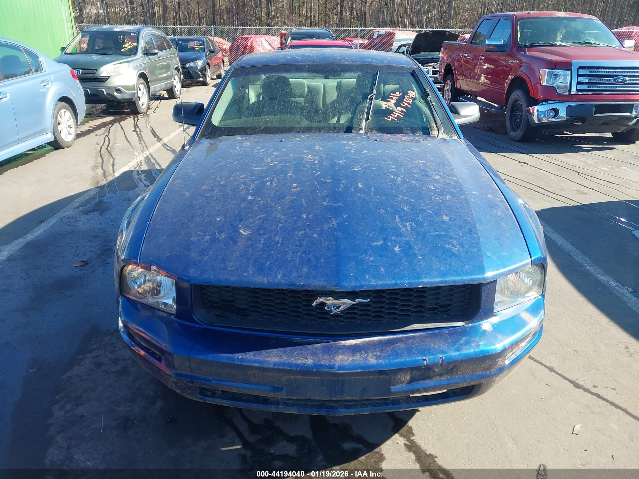 FORD MUSTANG image 6