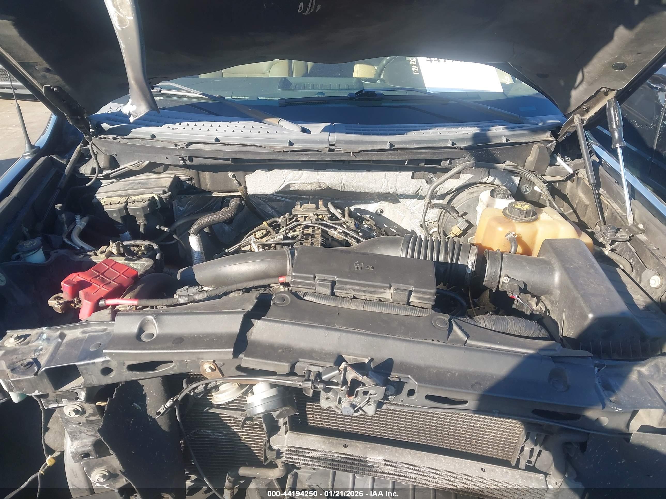 FORD F-150 image 10