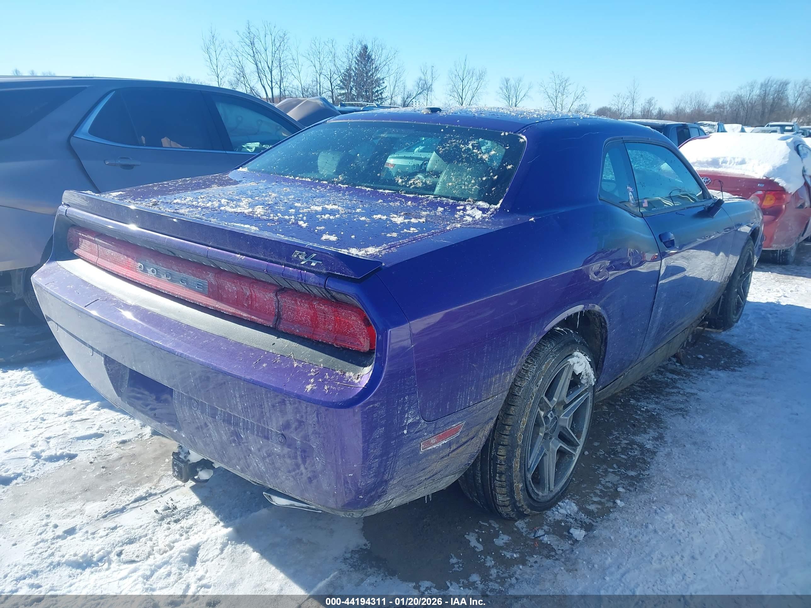 DODGE CHALLENGER image 4