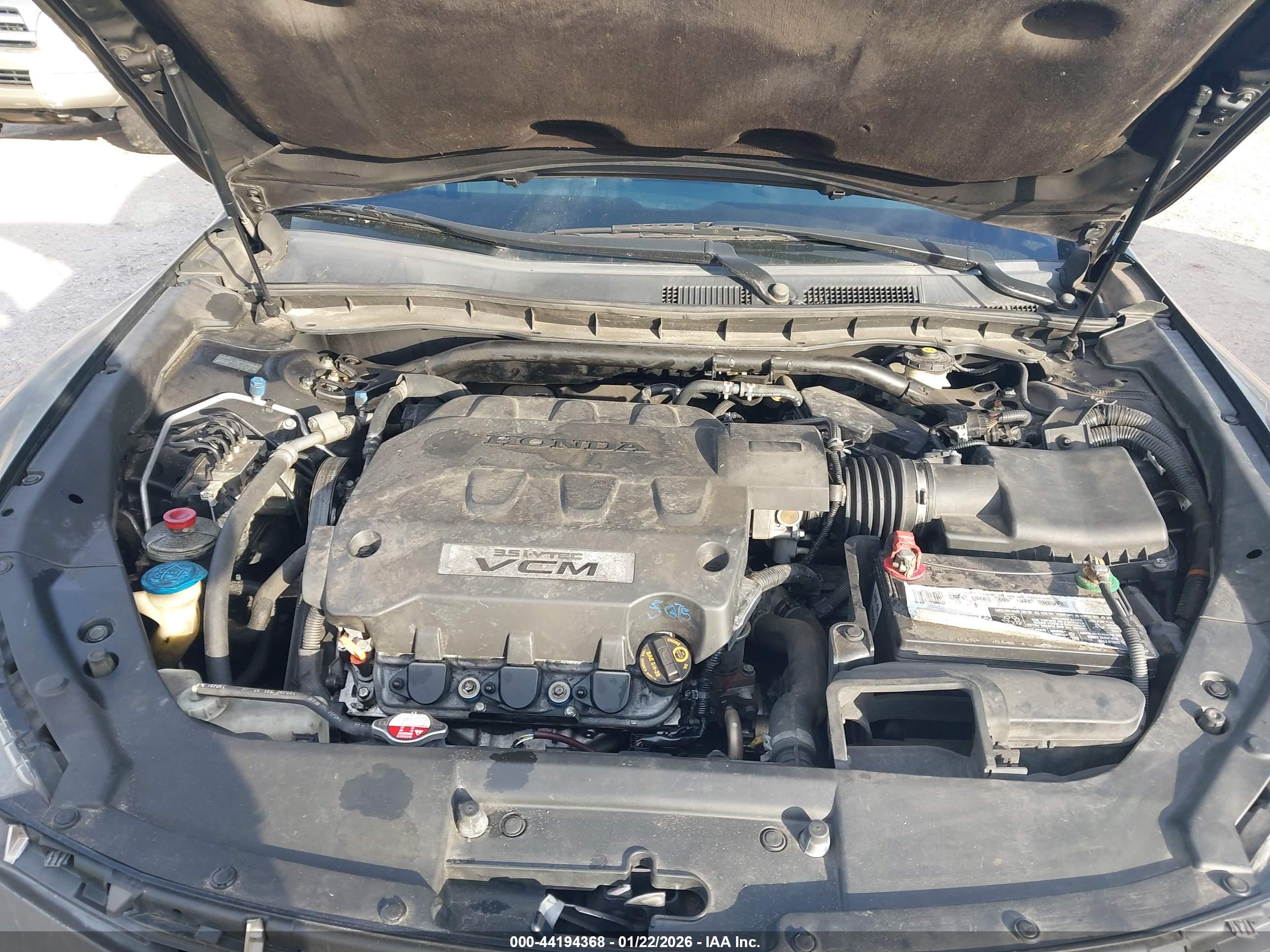 HONDA ACCORD image 10