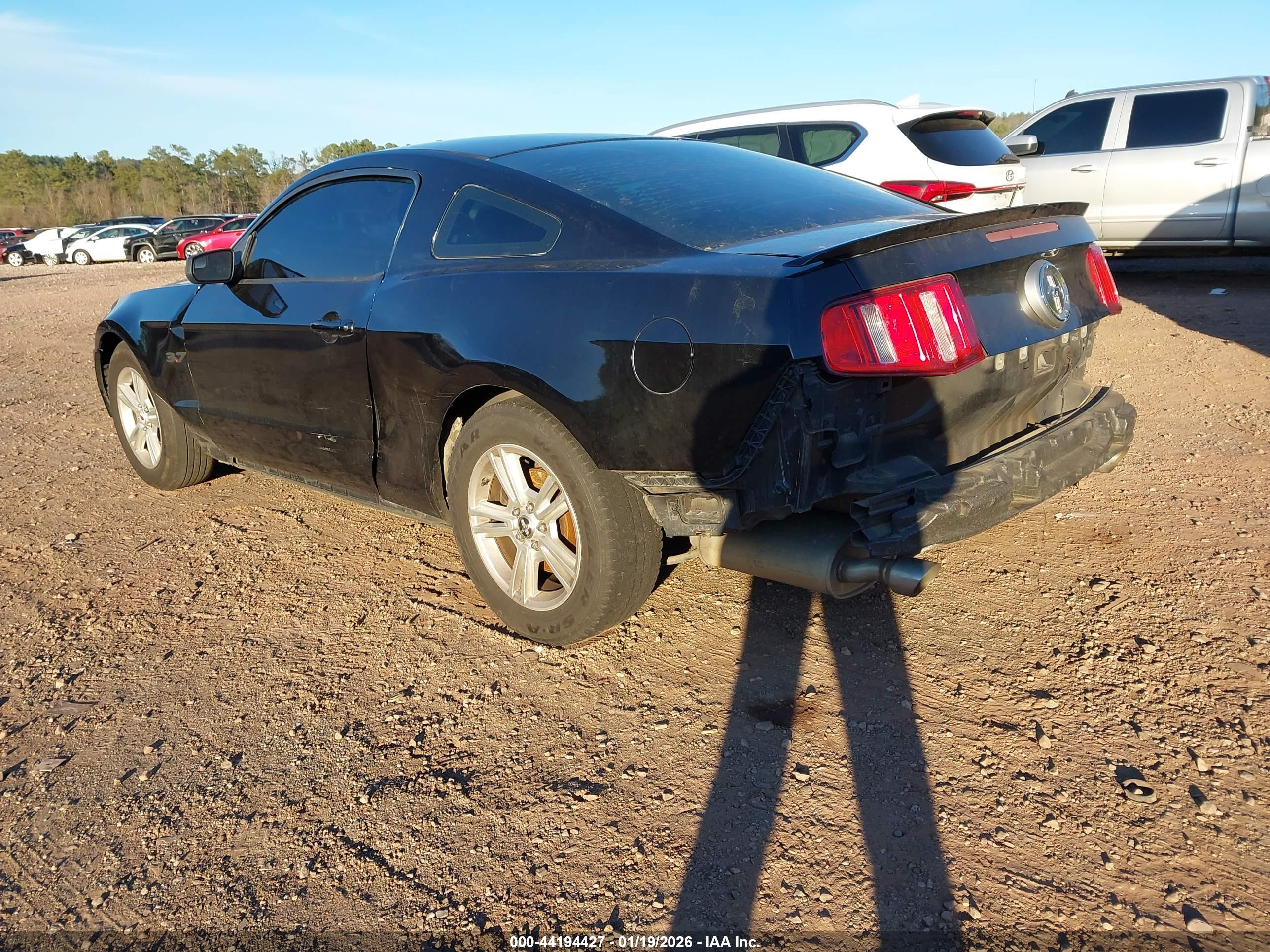 FORD MUSTANG image 3