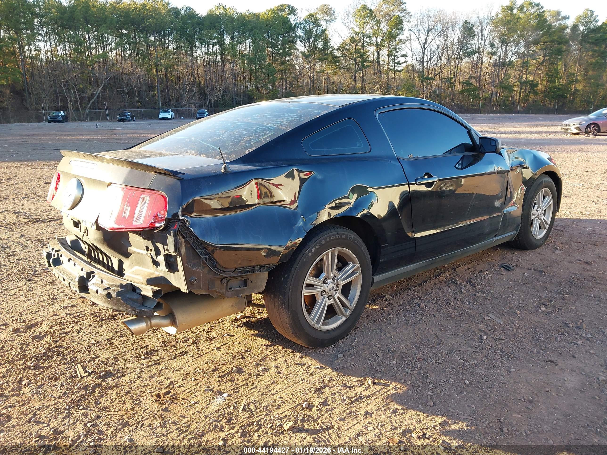 FORD MUSTANG image 4