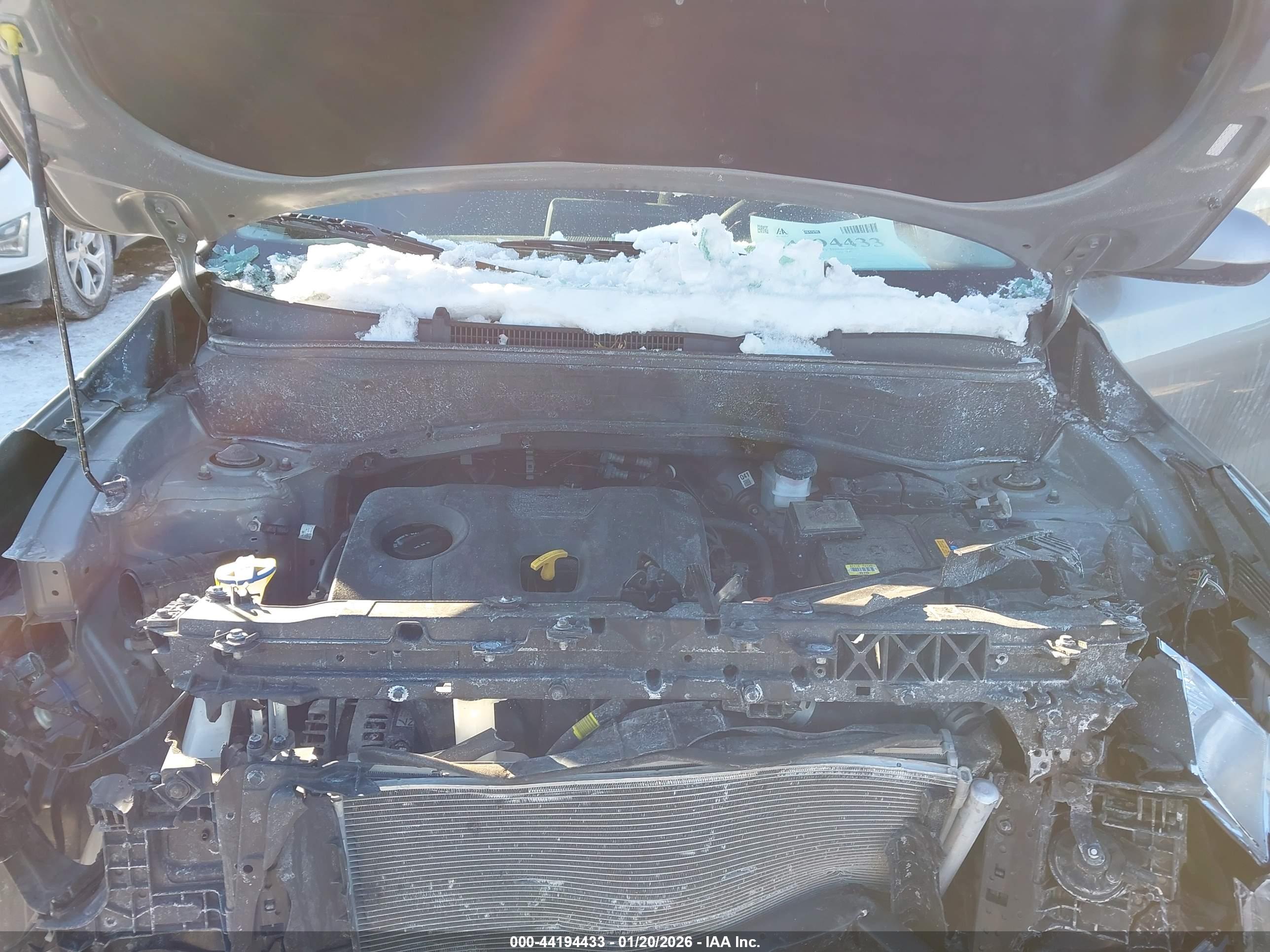KIA SELTOS image 10