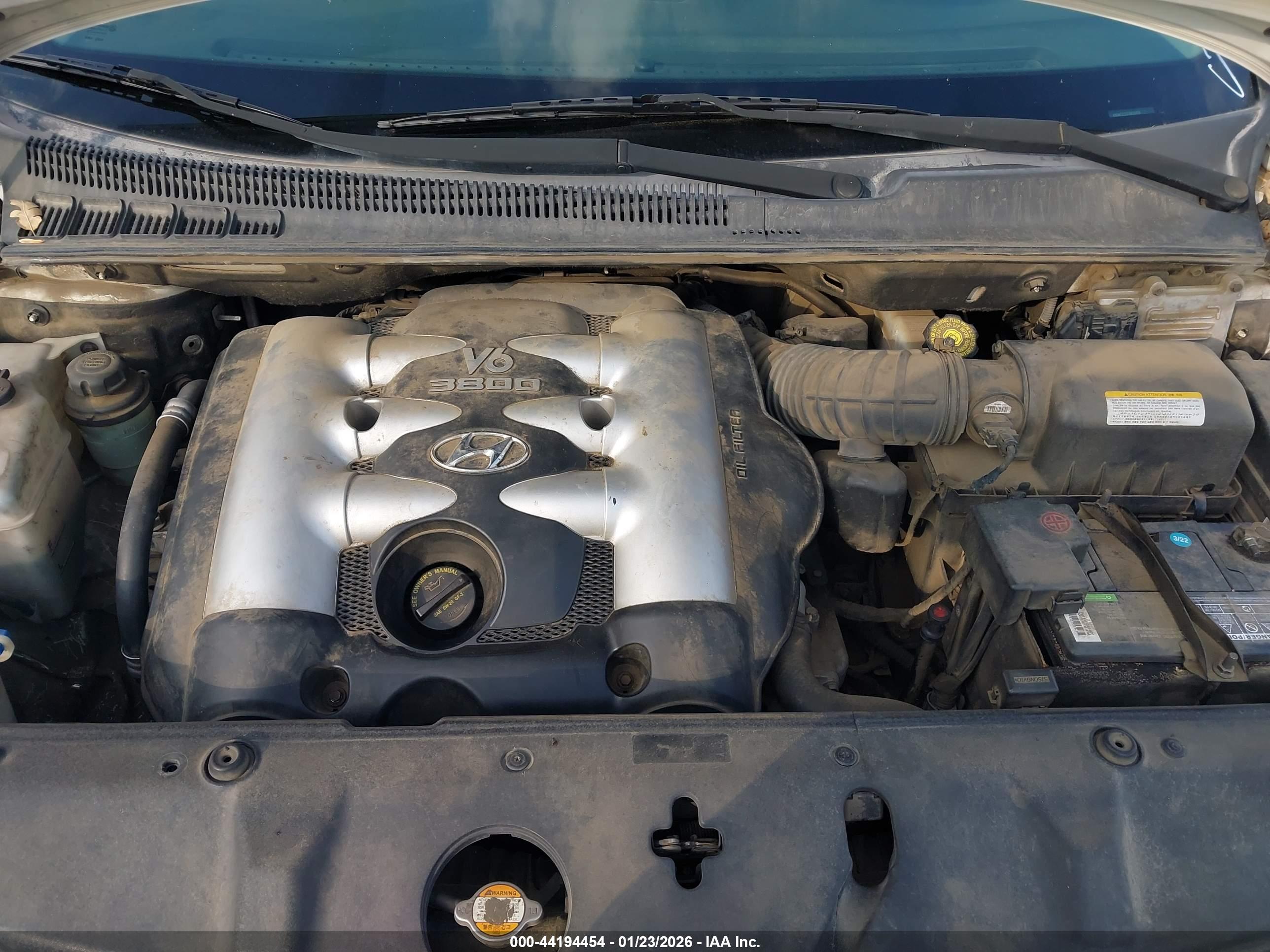 HYUNDAI ENTOURAGE image 10