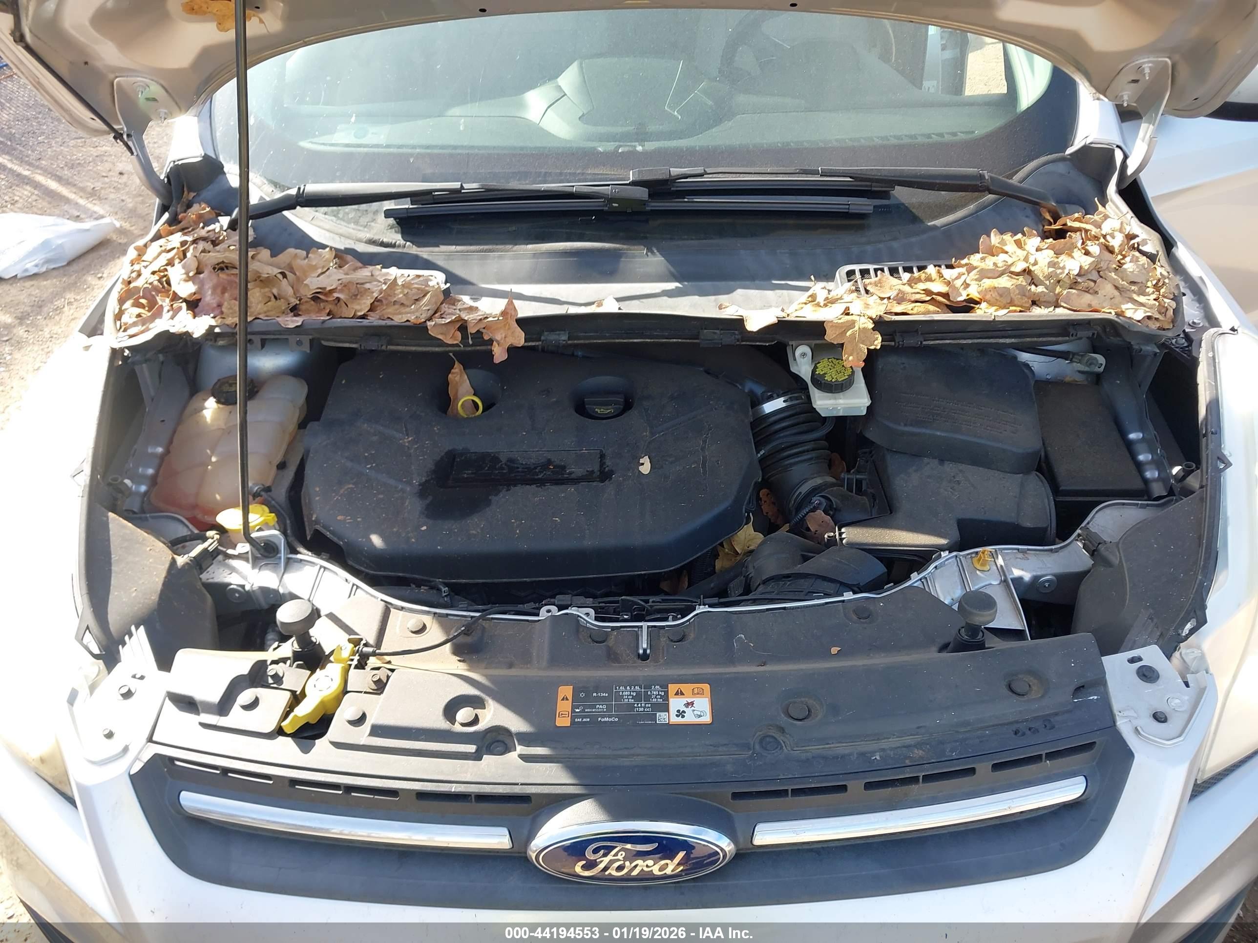 FORD ESCAPE image 10