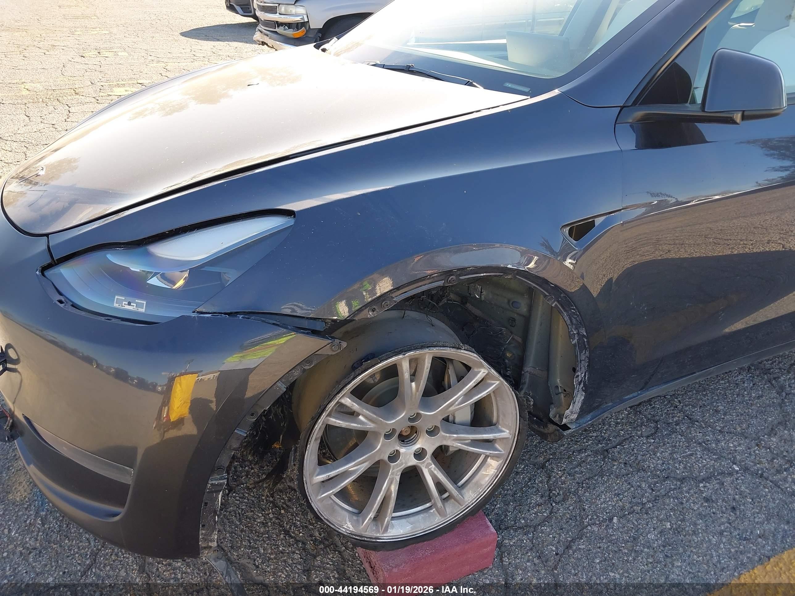 TESLA MODEL image 6