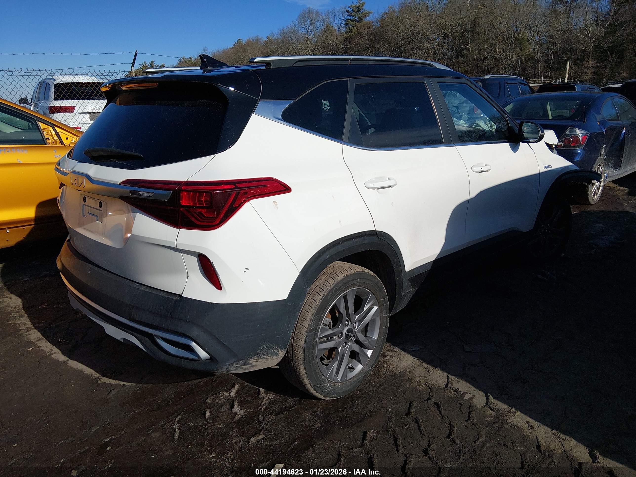 KIA SELTOS image 4