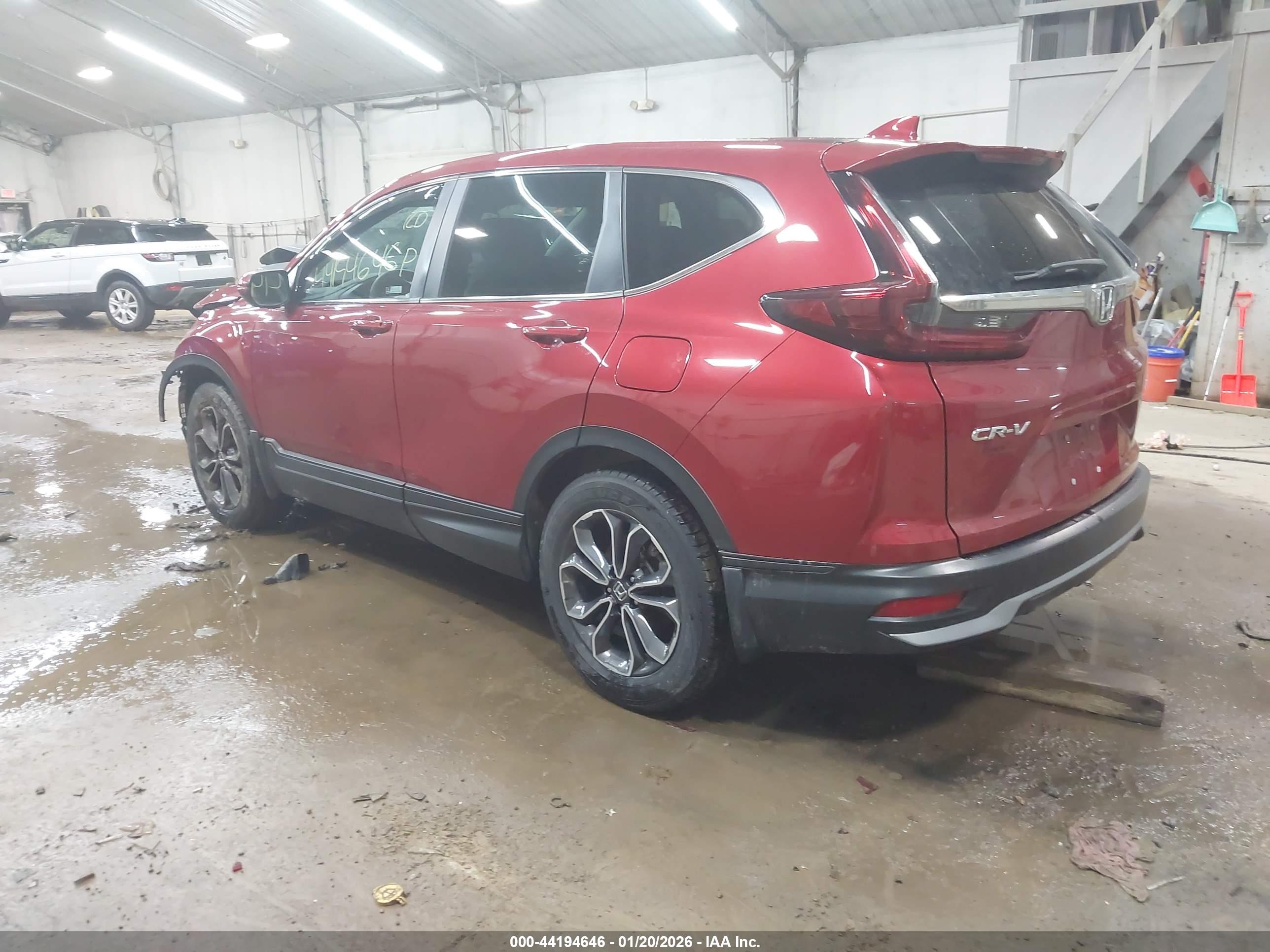 HONDA CR-V image 3