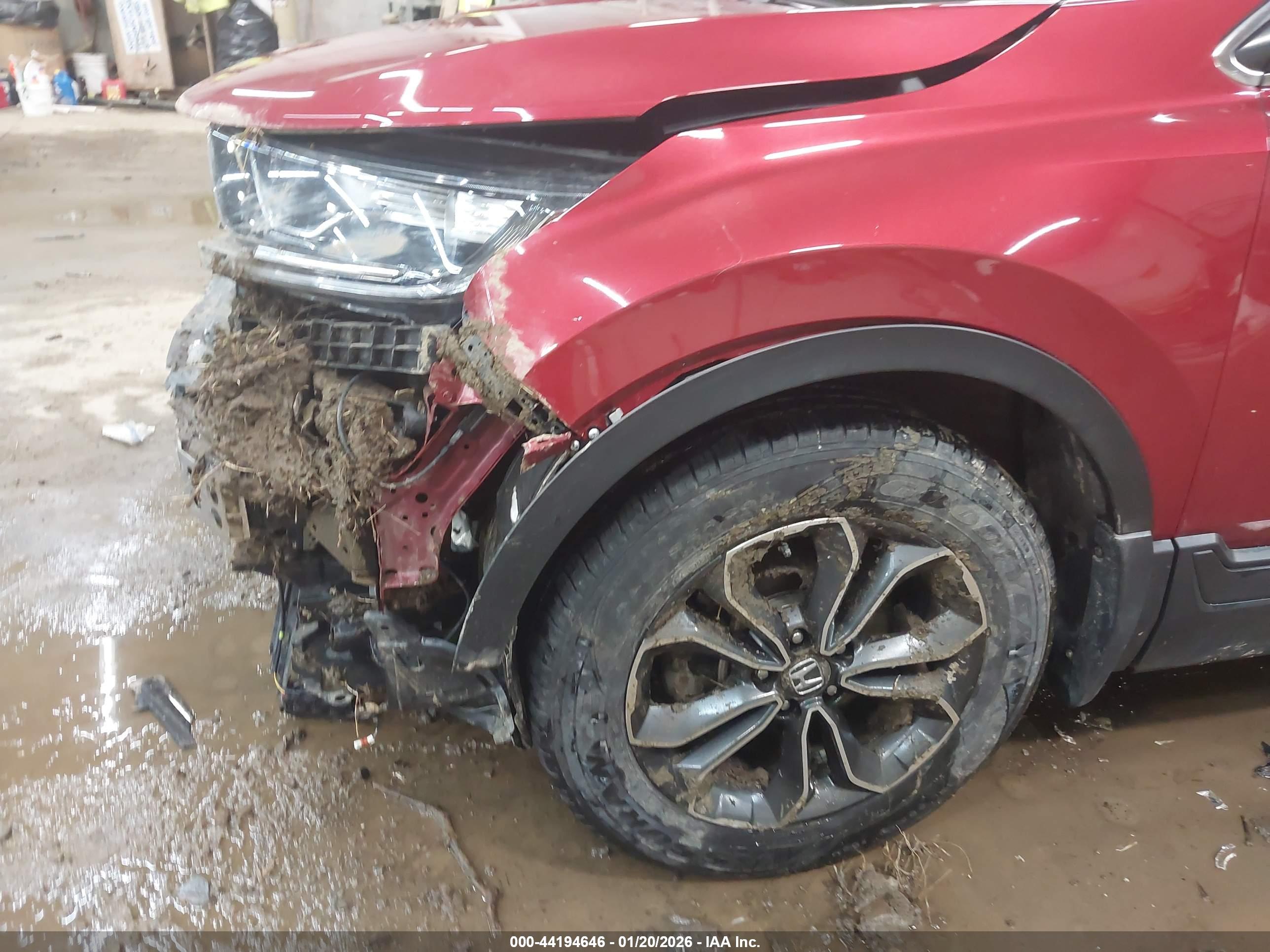 HONDA CR-V image 6