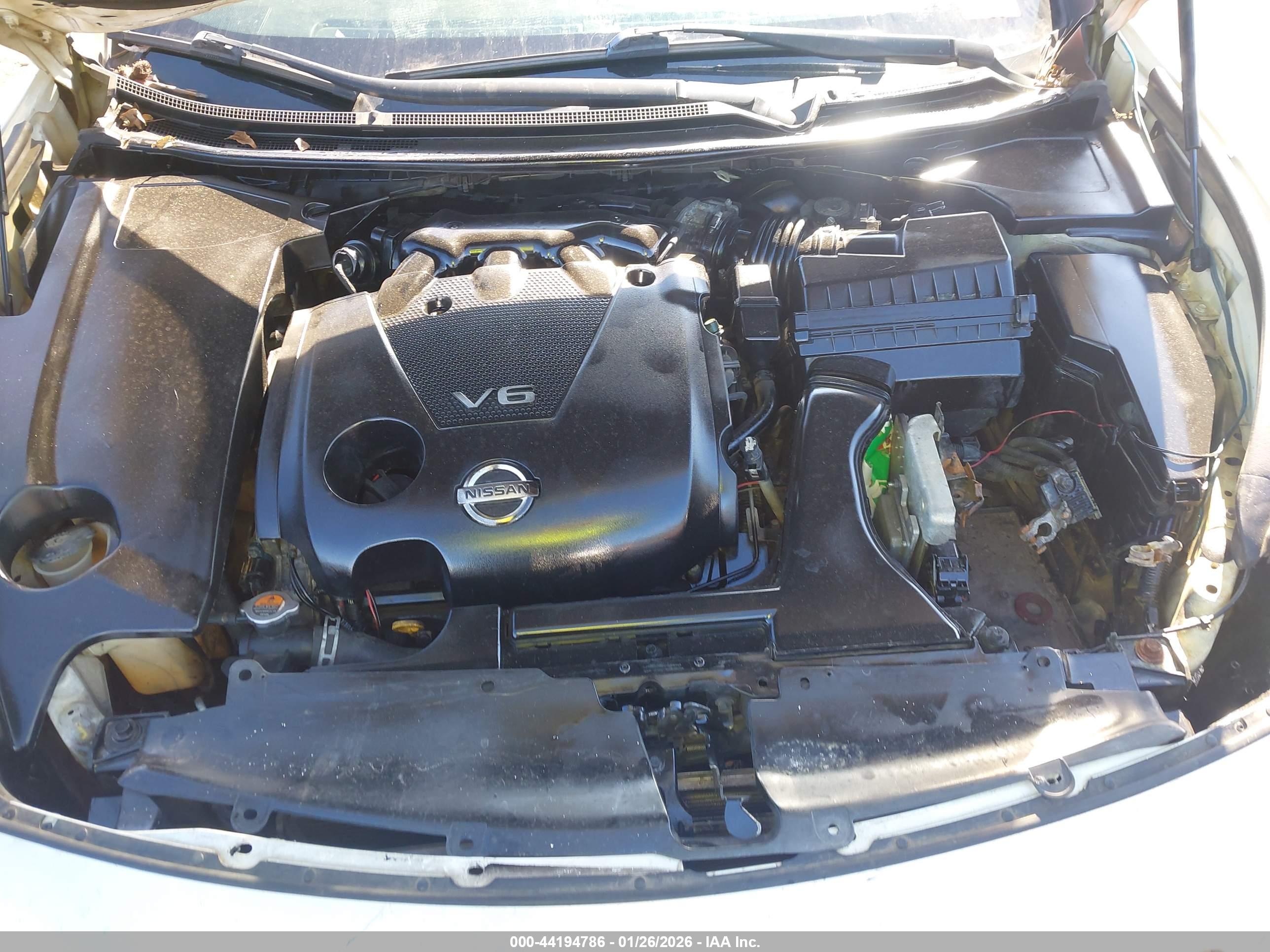 NISSAN MAXIMA image 10