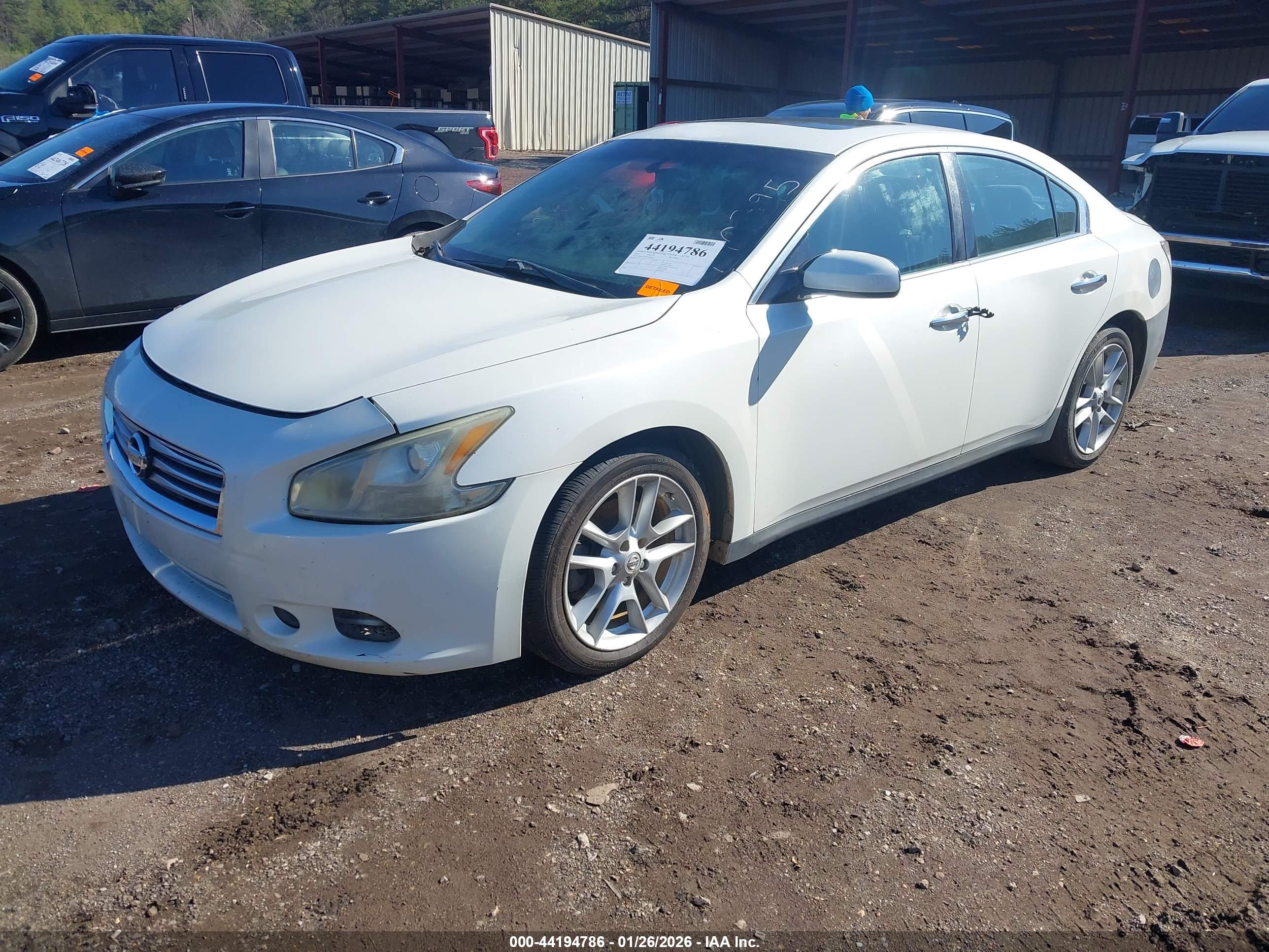 NISSAN MAXIMA image 2