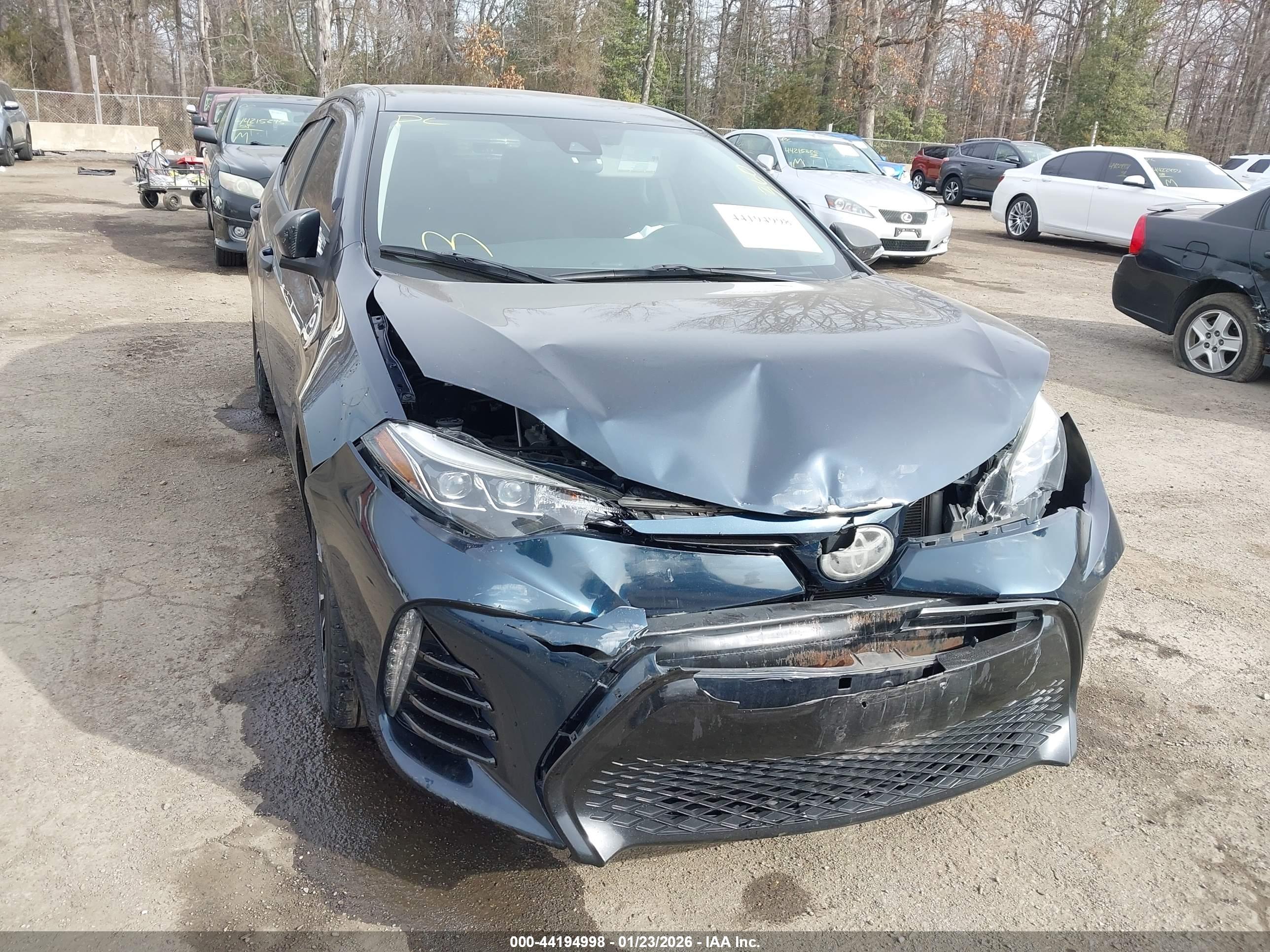 TOYOTA COROLLA image 6