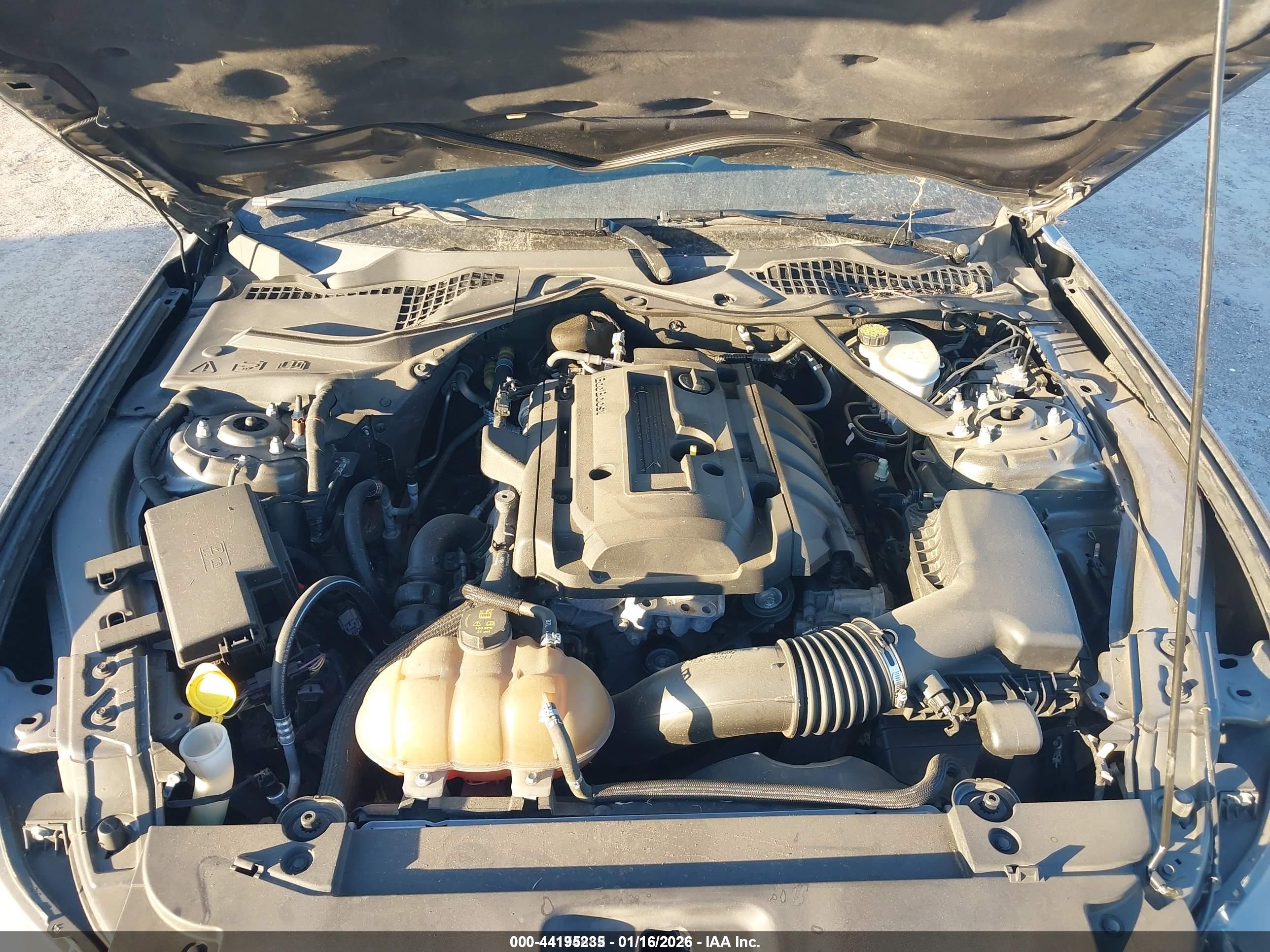 FORD MUSTANG image 10