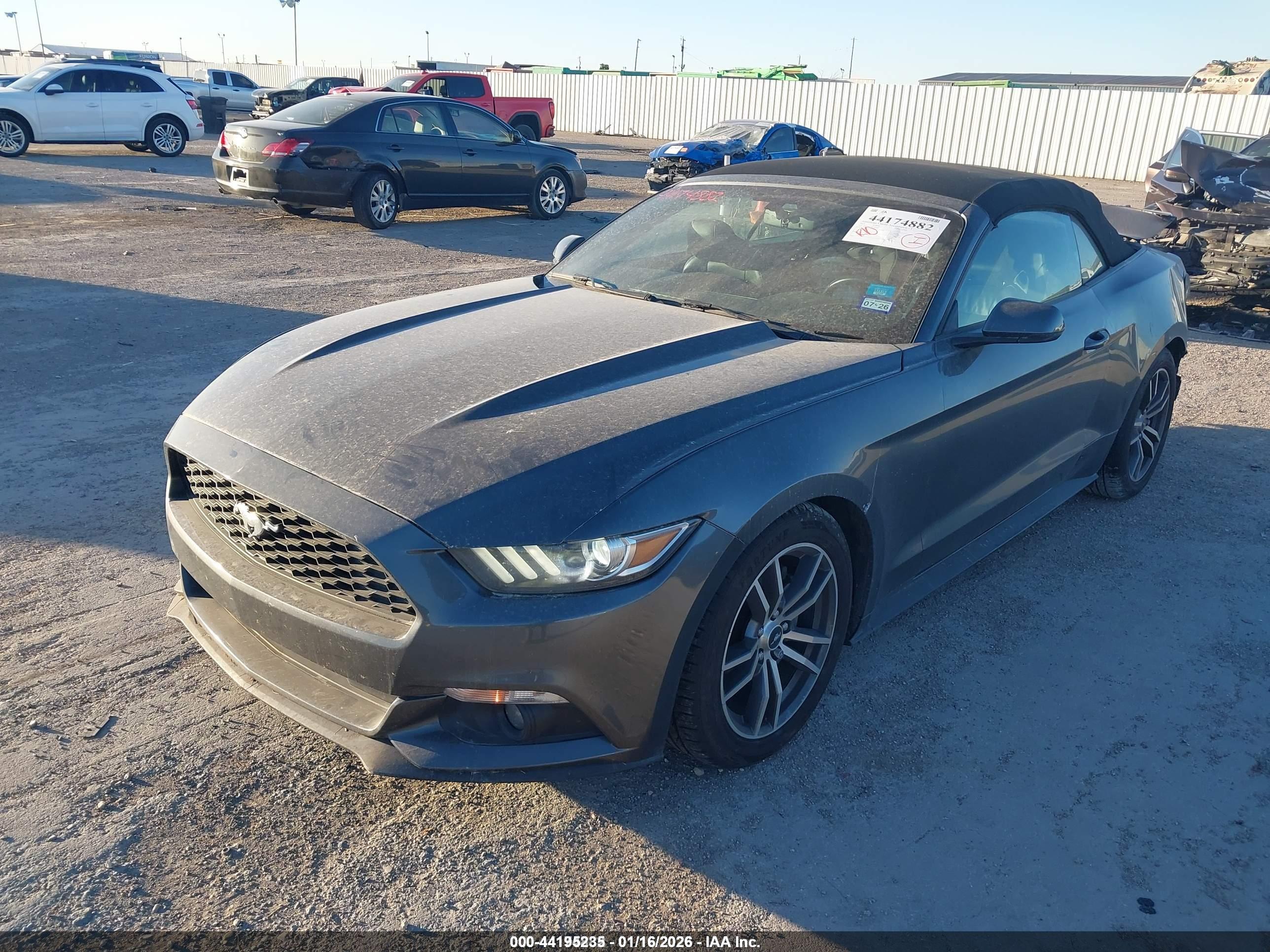 FORD MUSTANG image 2