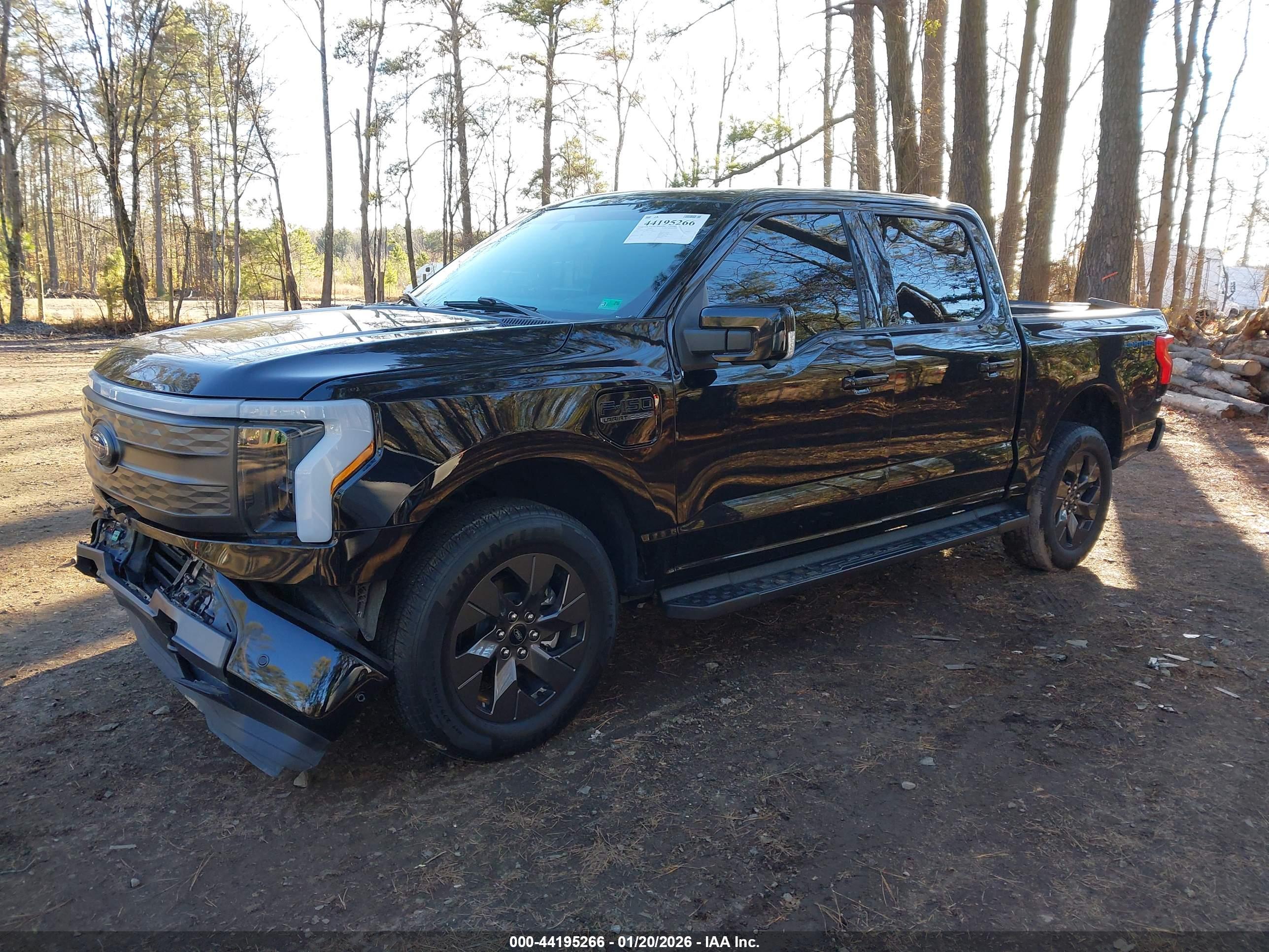 FORD F-150 image 2