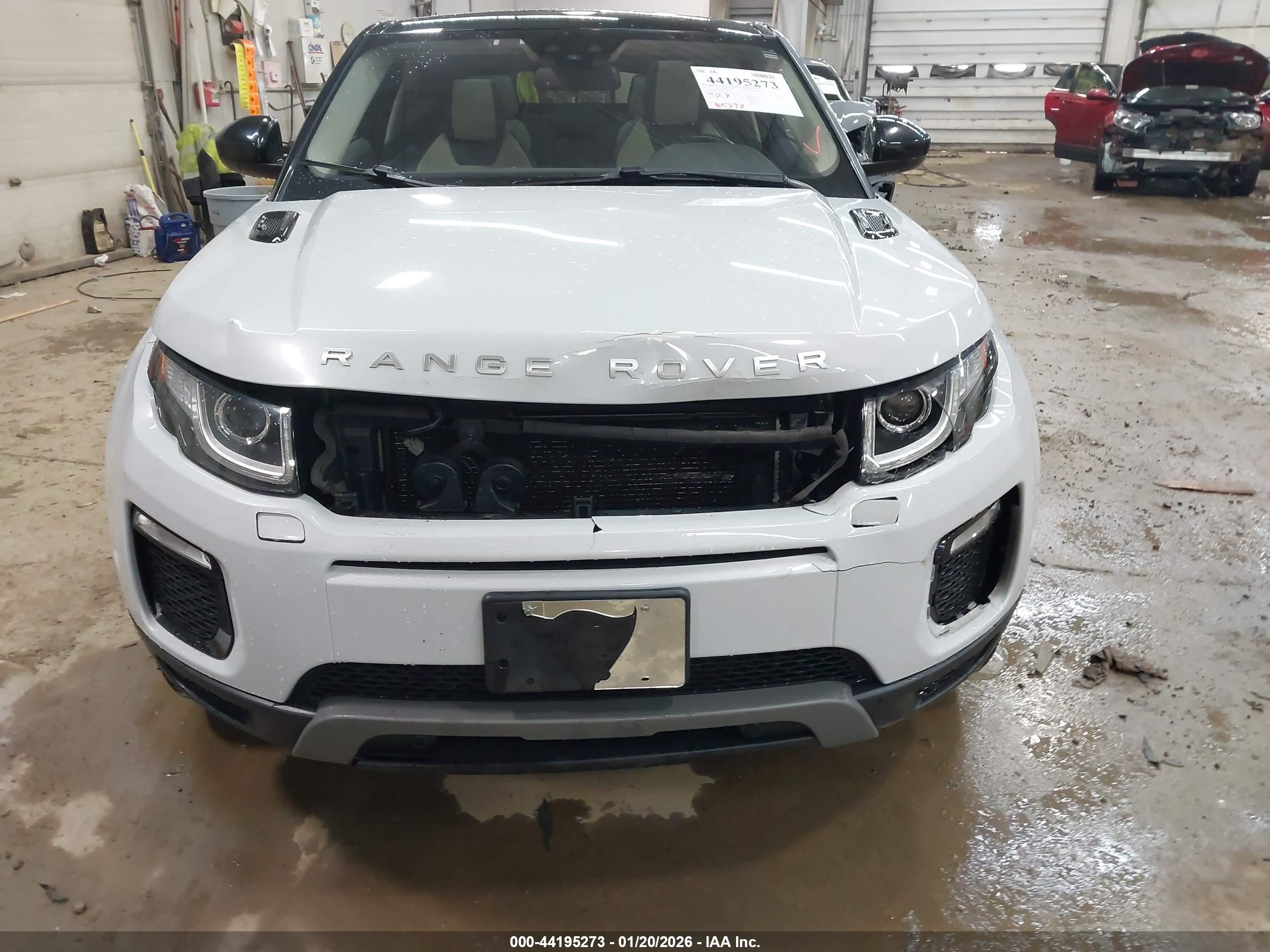 LAND ROVER image 6