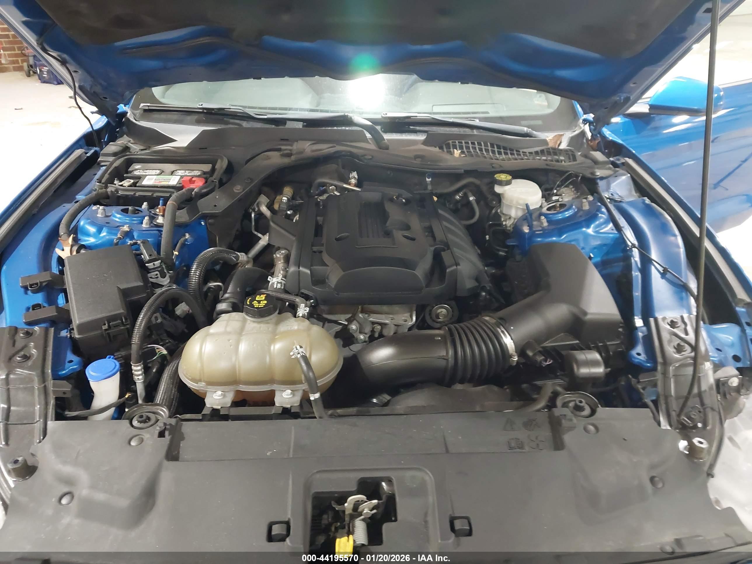 FORD MUSTANG image 10