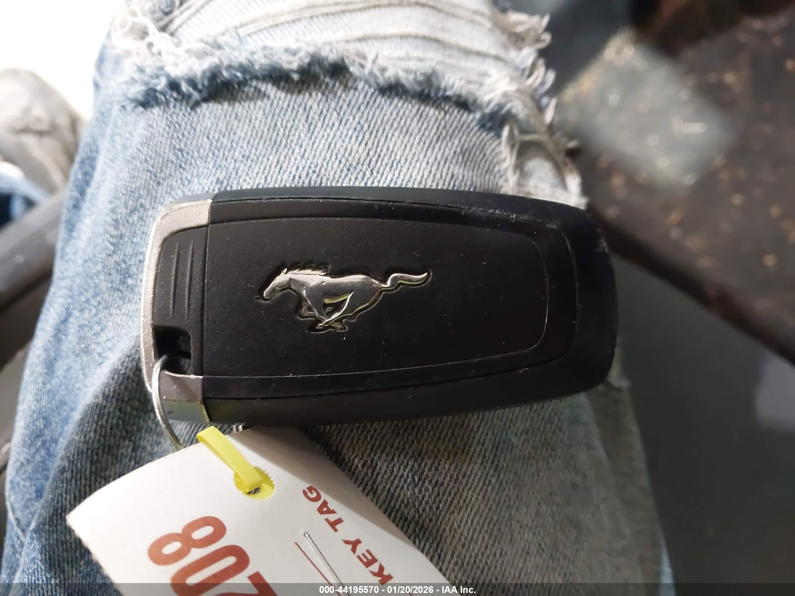 FORD MUSTANG image 11
