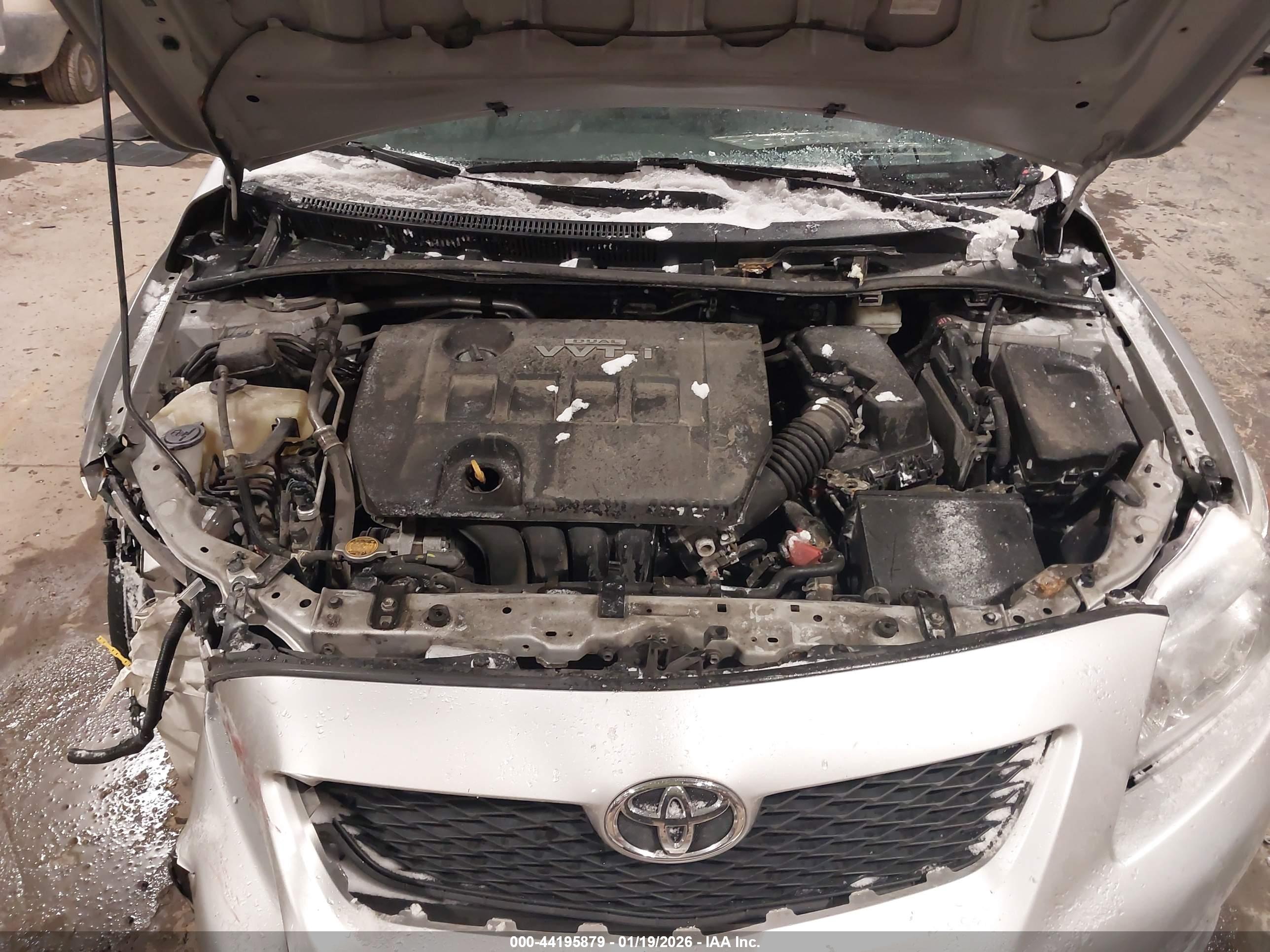 TOYOTA COROLLA image 10