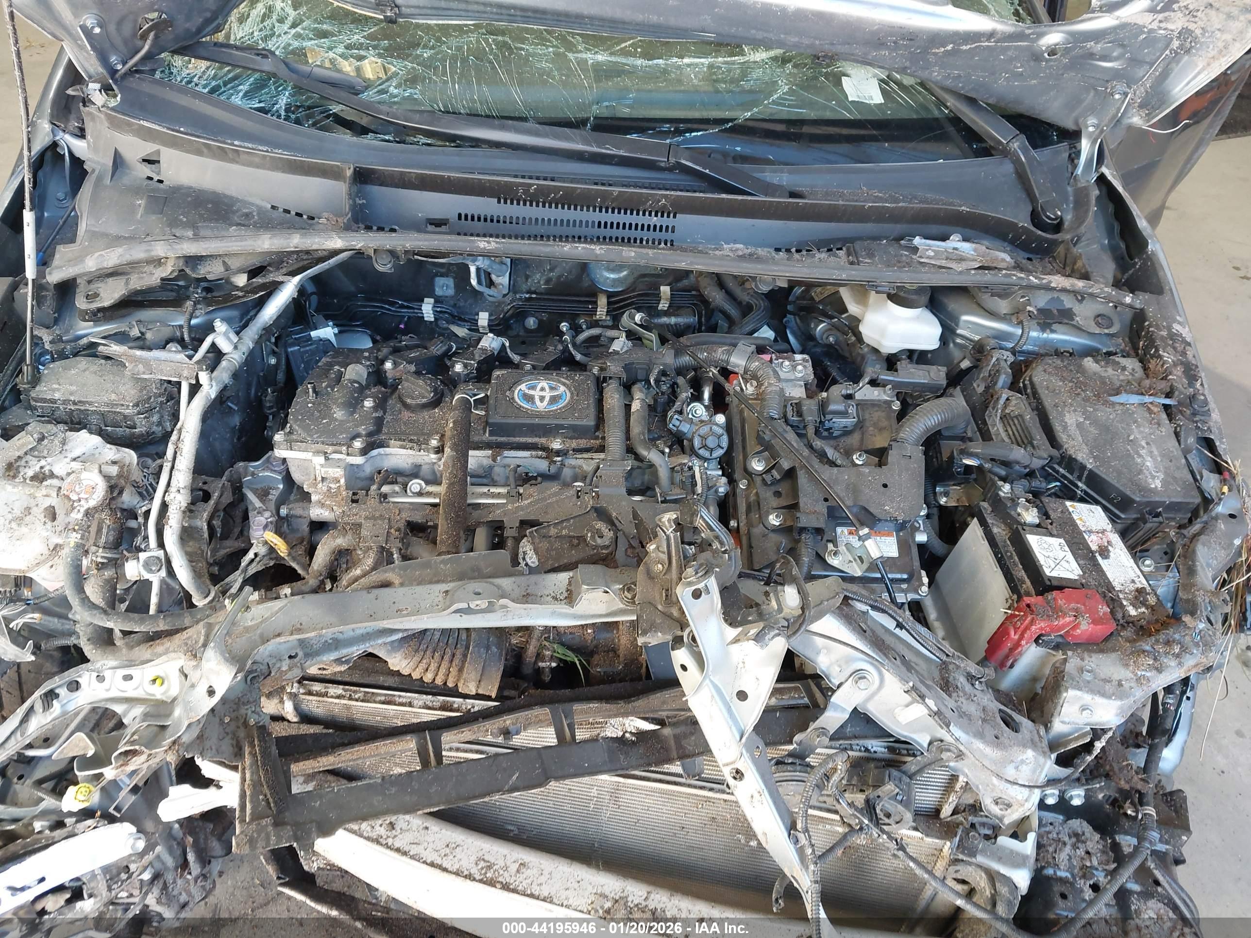 TOYOTA COROLLA image 10
