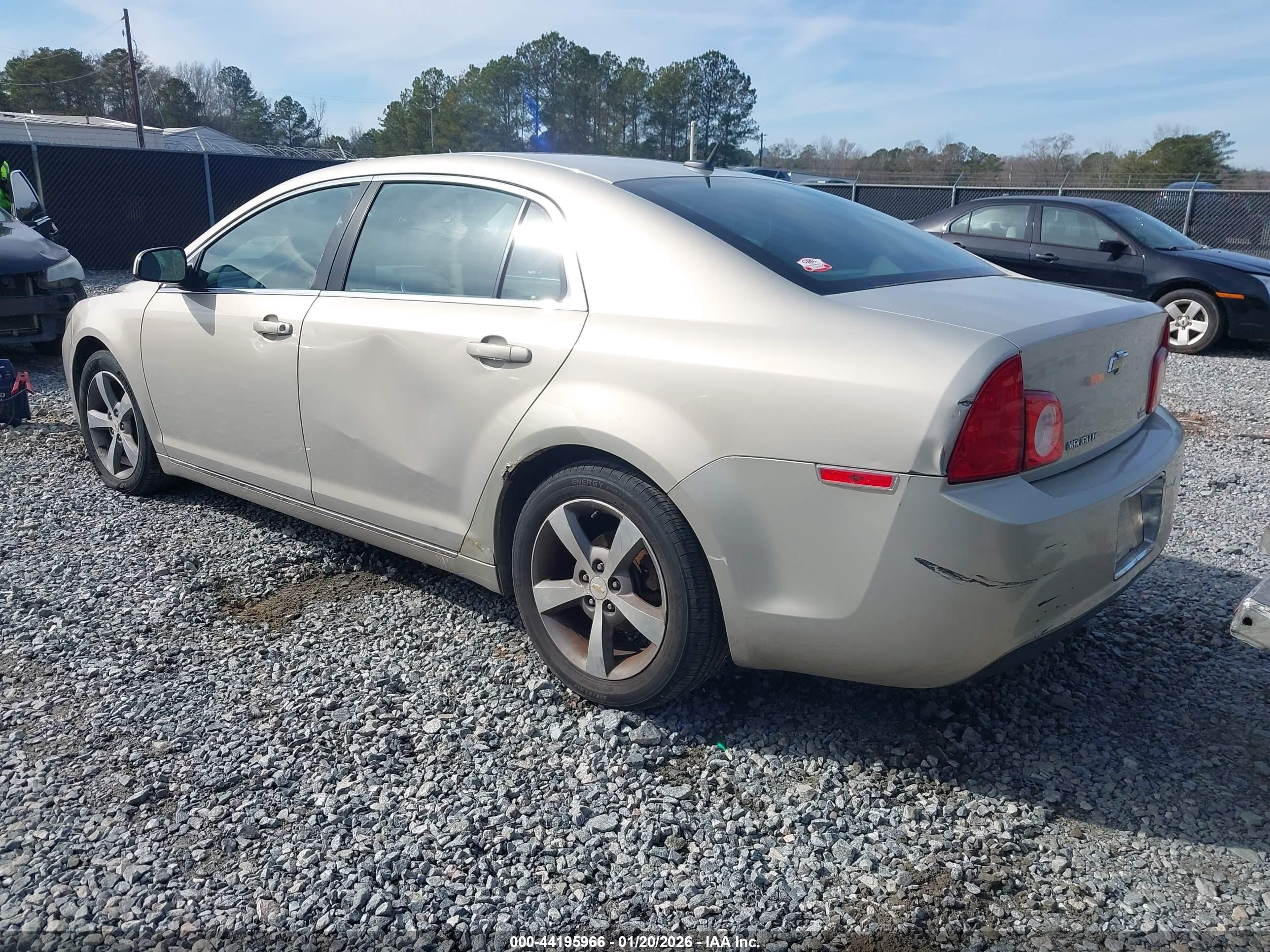 CHEVROLET MALIBU image 3