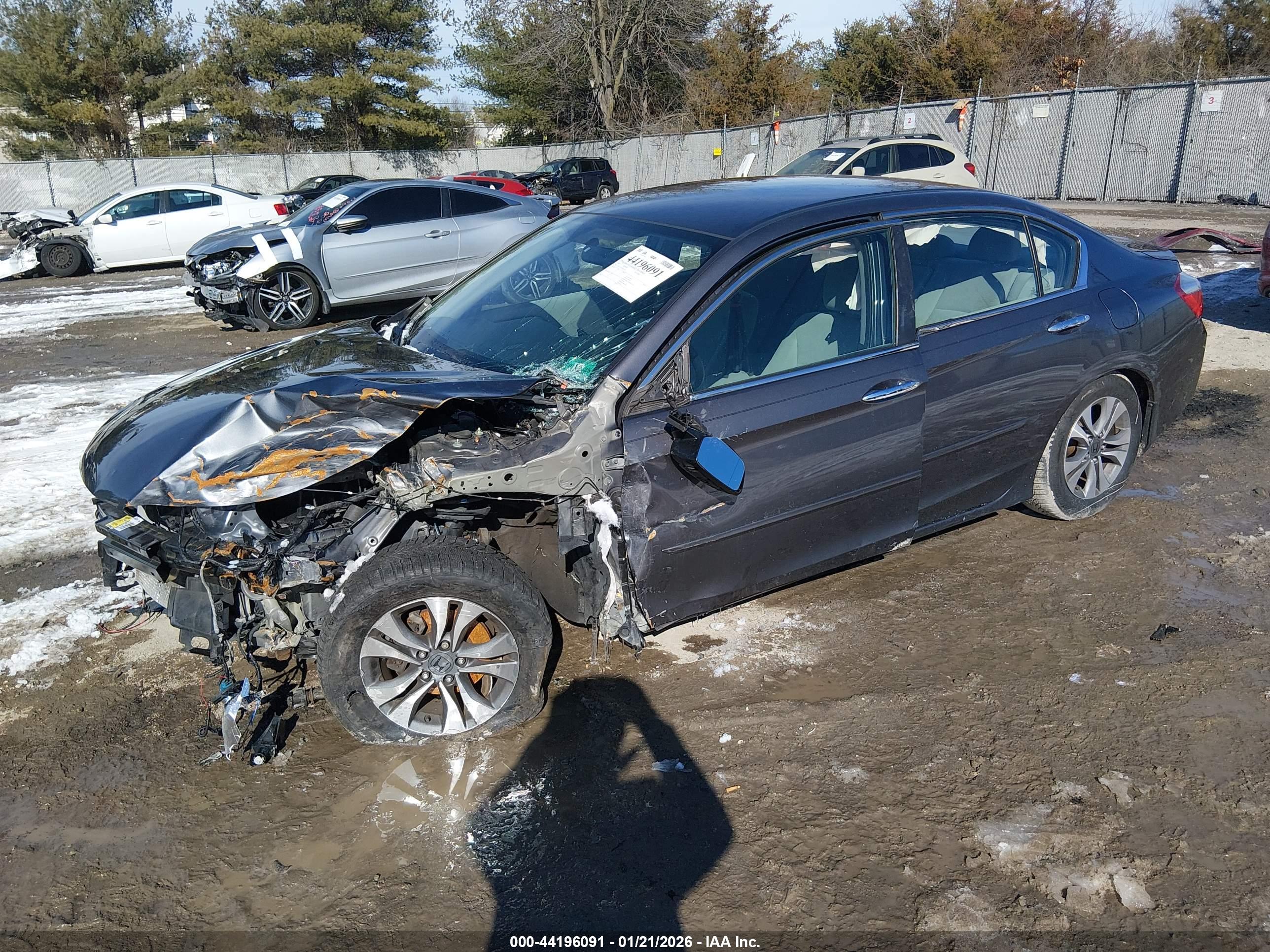 HONDA ACCORD image 2