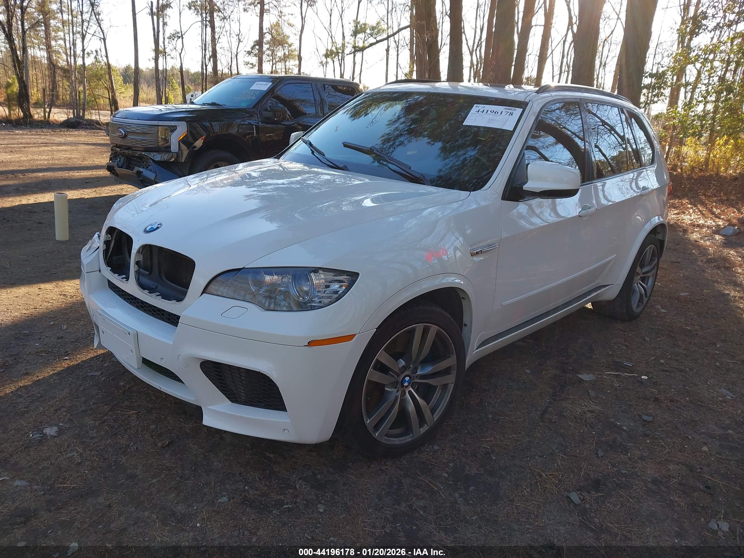 BMW X5 image 2