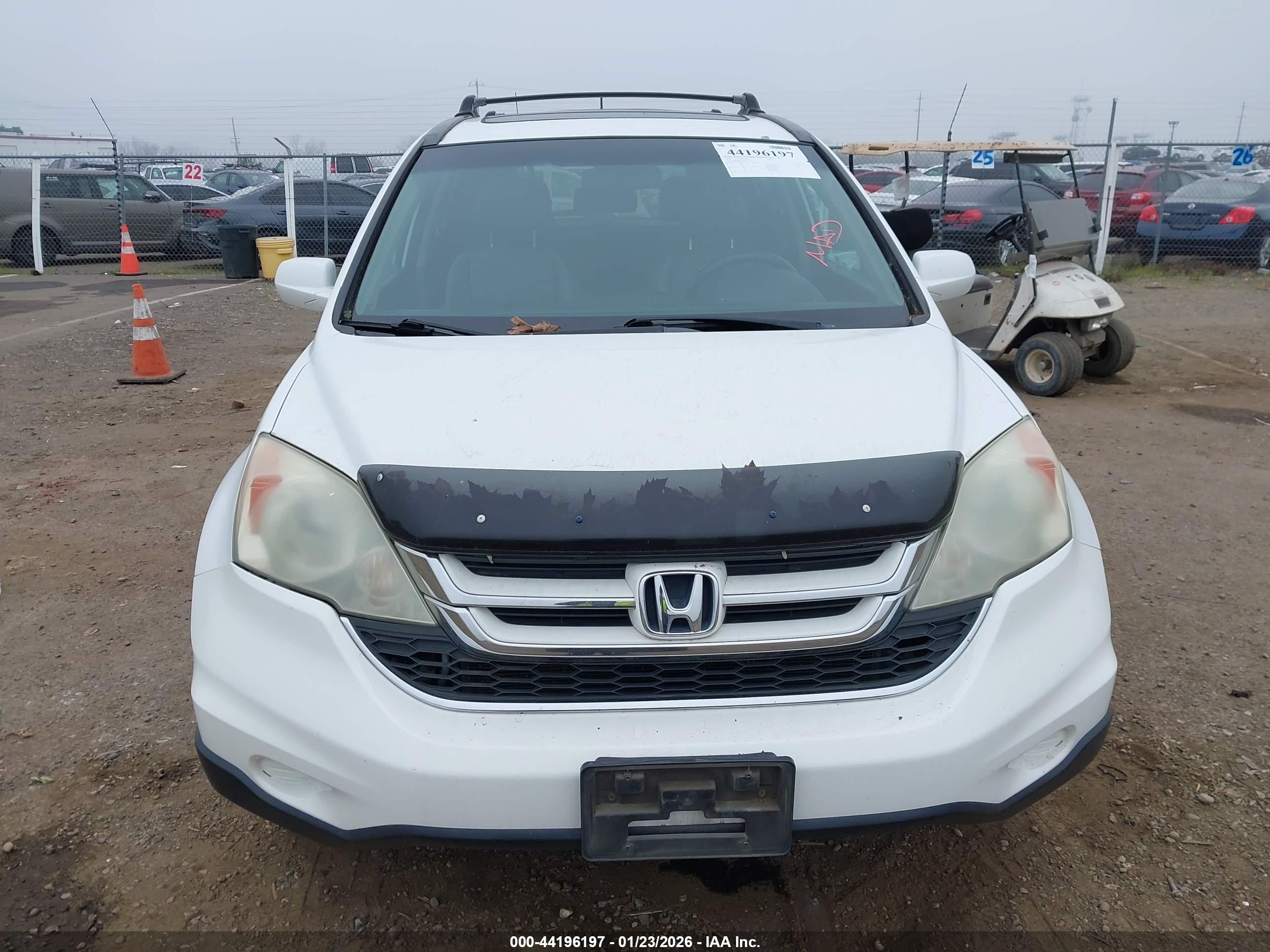 HONDA CR-V image 6