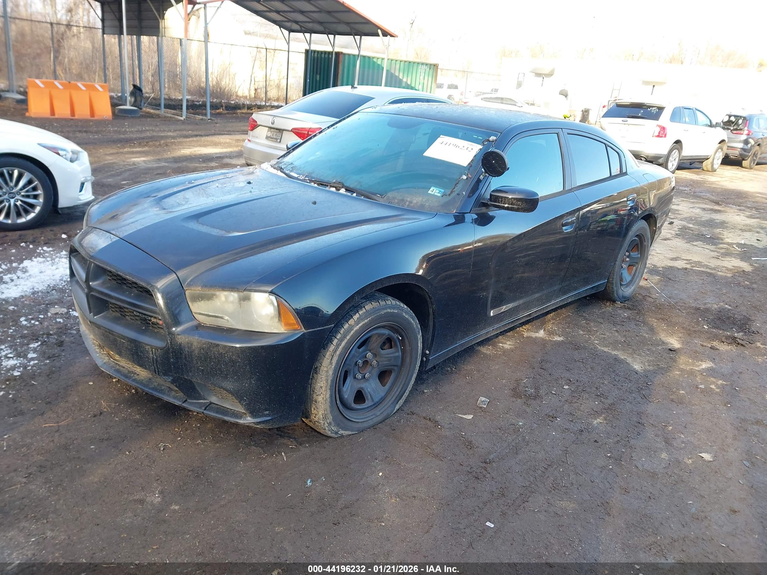 DODGE CHARGER image 2