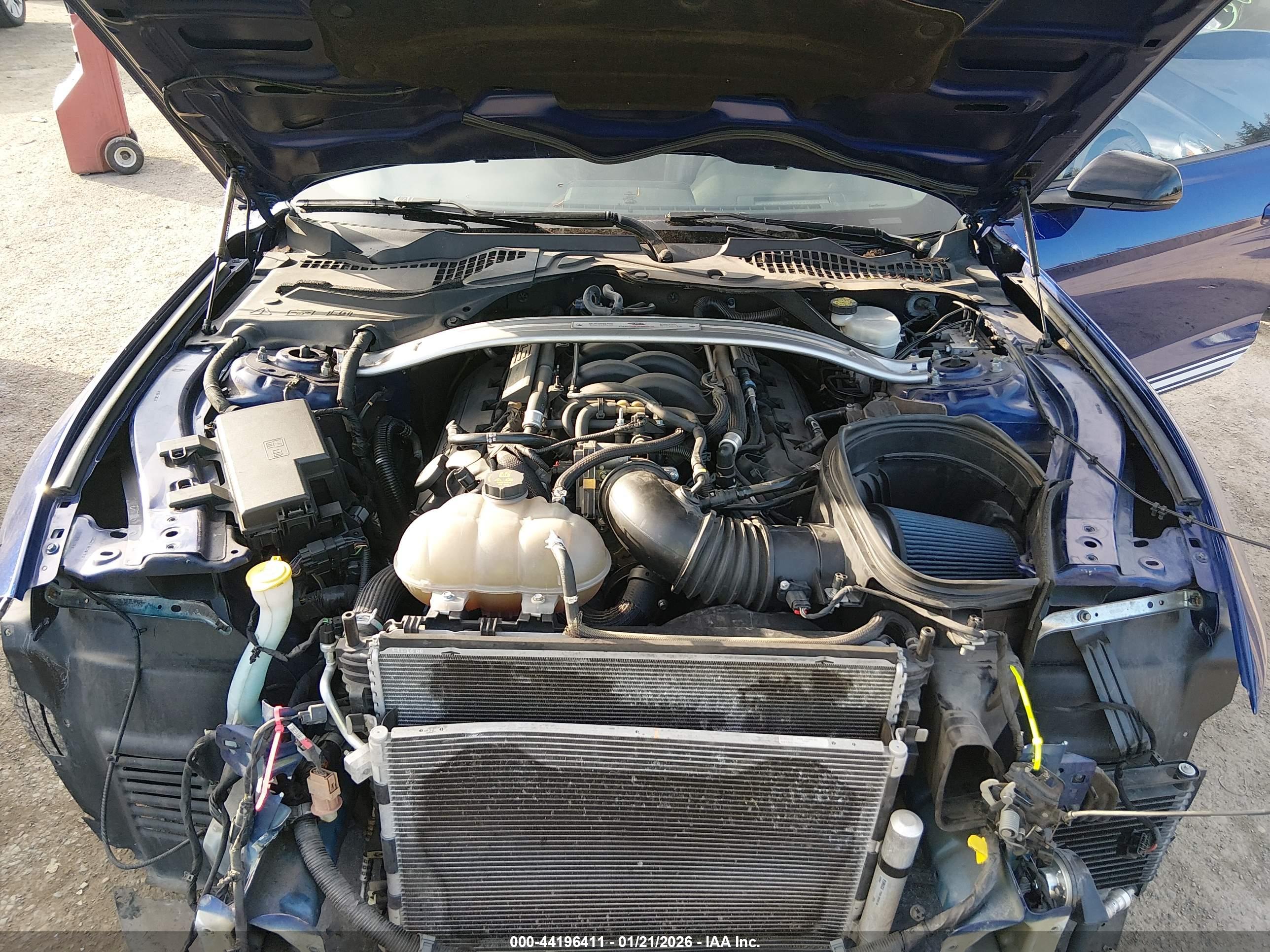 FORD SHELBY image 10