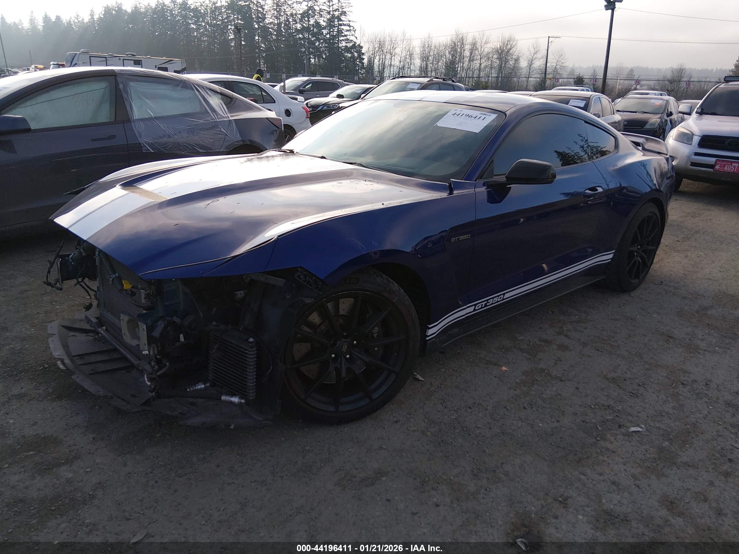 FORD SHELBY image 2