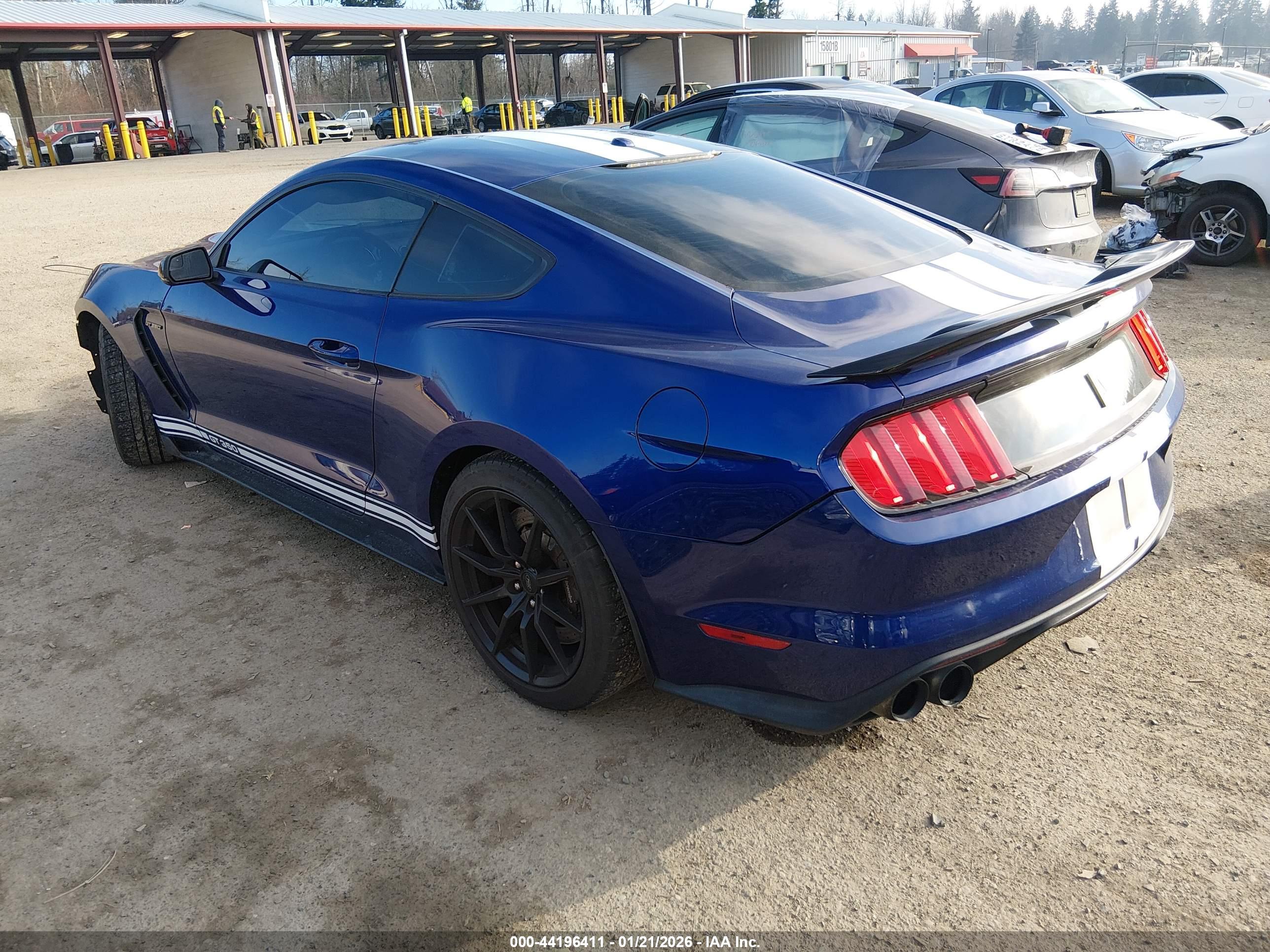 FORD SHELBY image 3