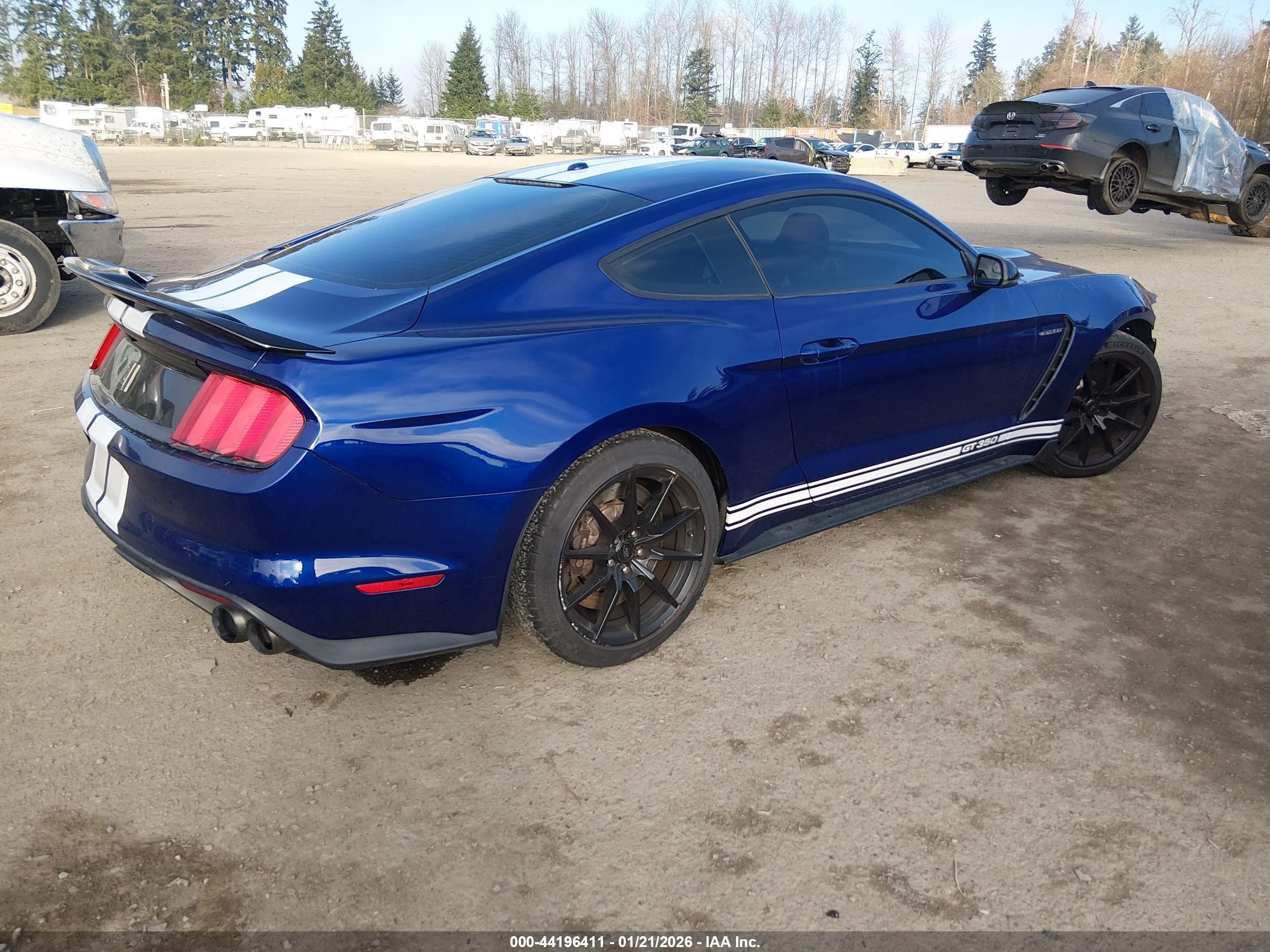 FORD SHELBY image 4
