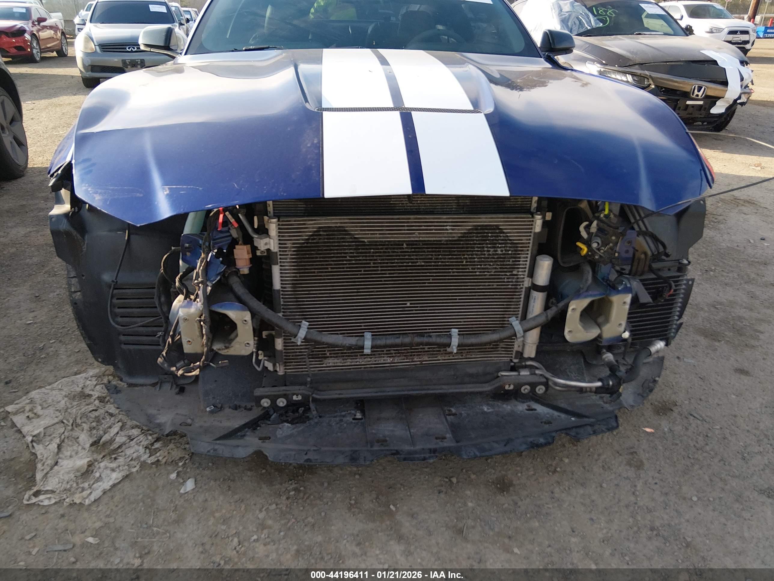 FORD SHELBY image 6
