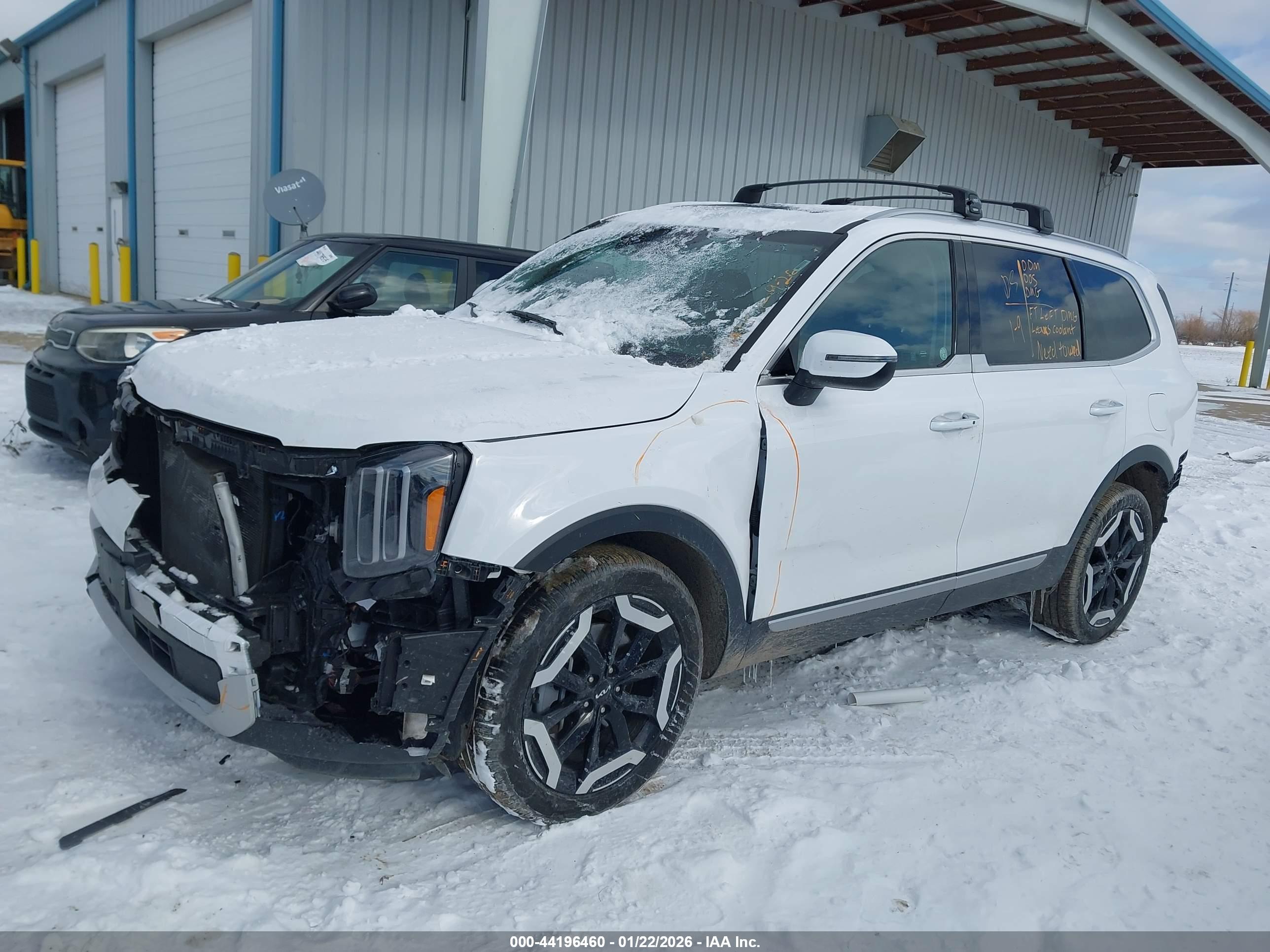 KIA TELLURIDE image 2