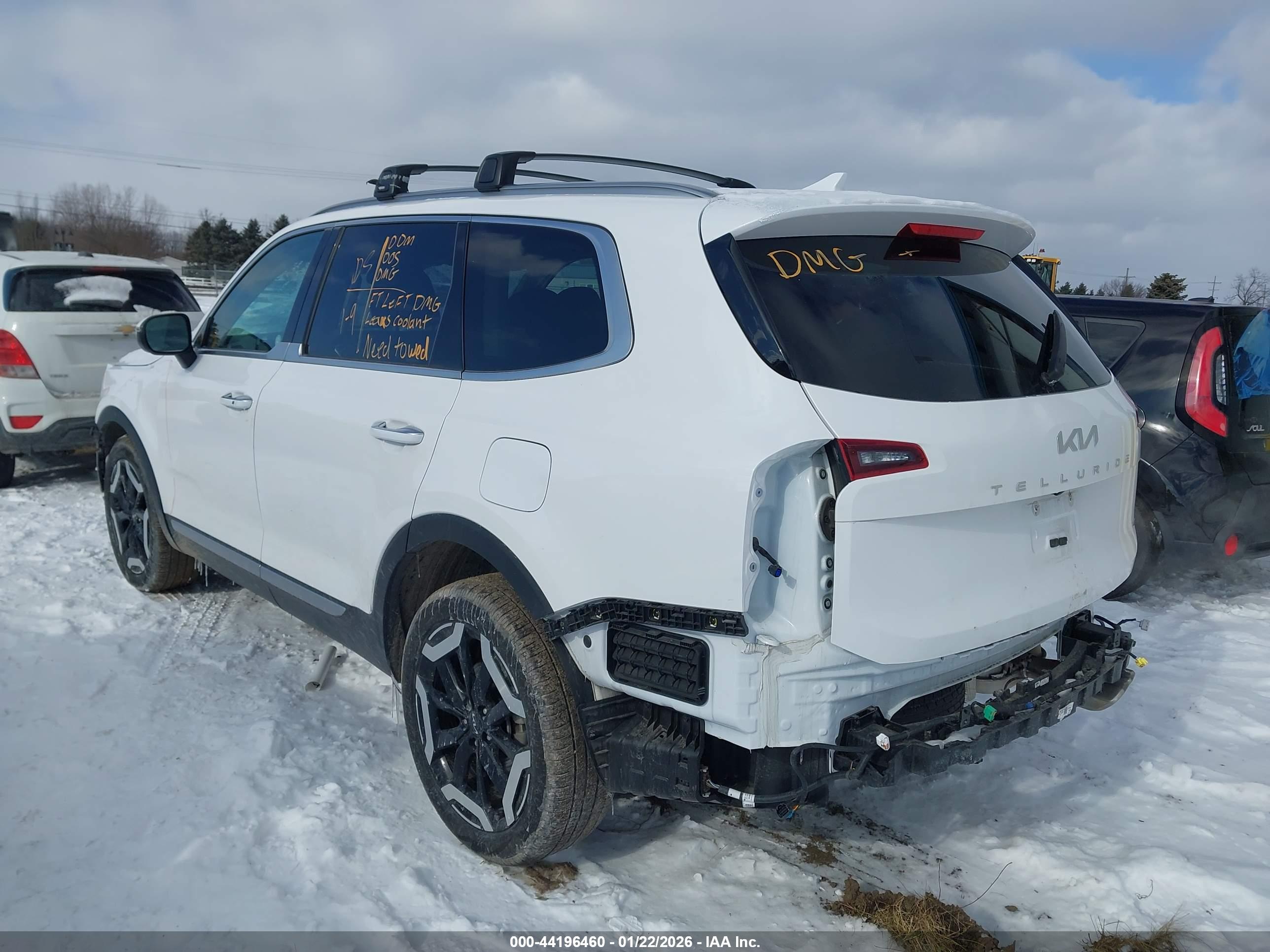 KIA TELLURIDE image 3