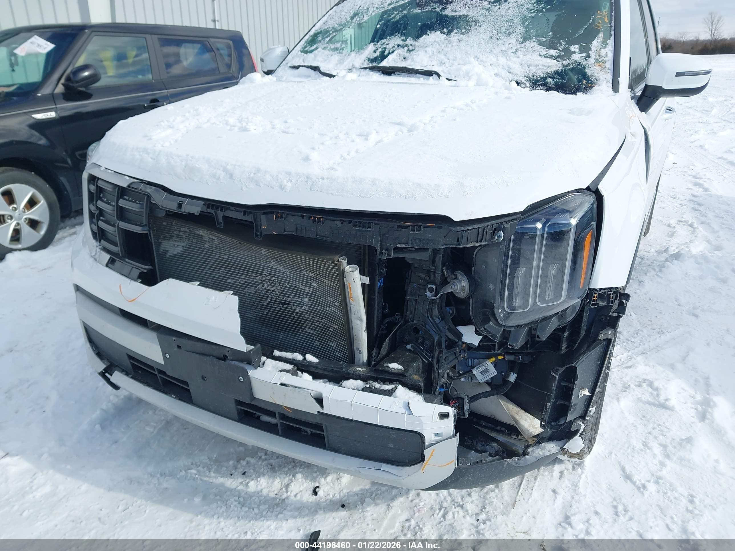 KIA TELLURIDE image 6