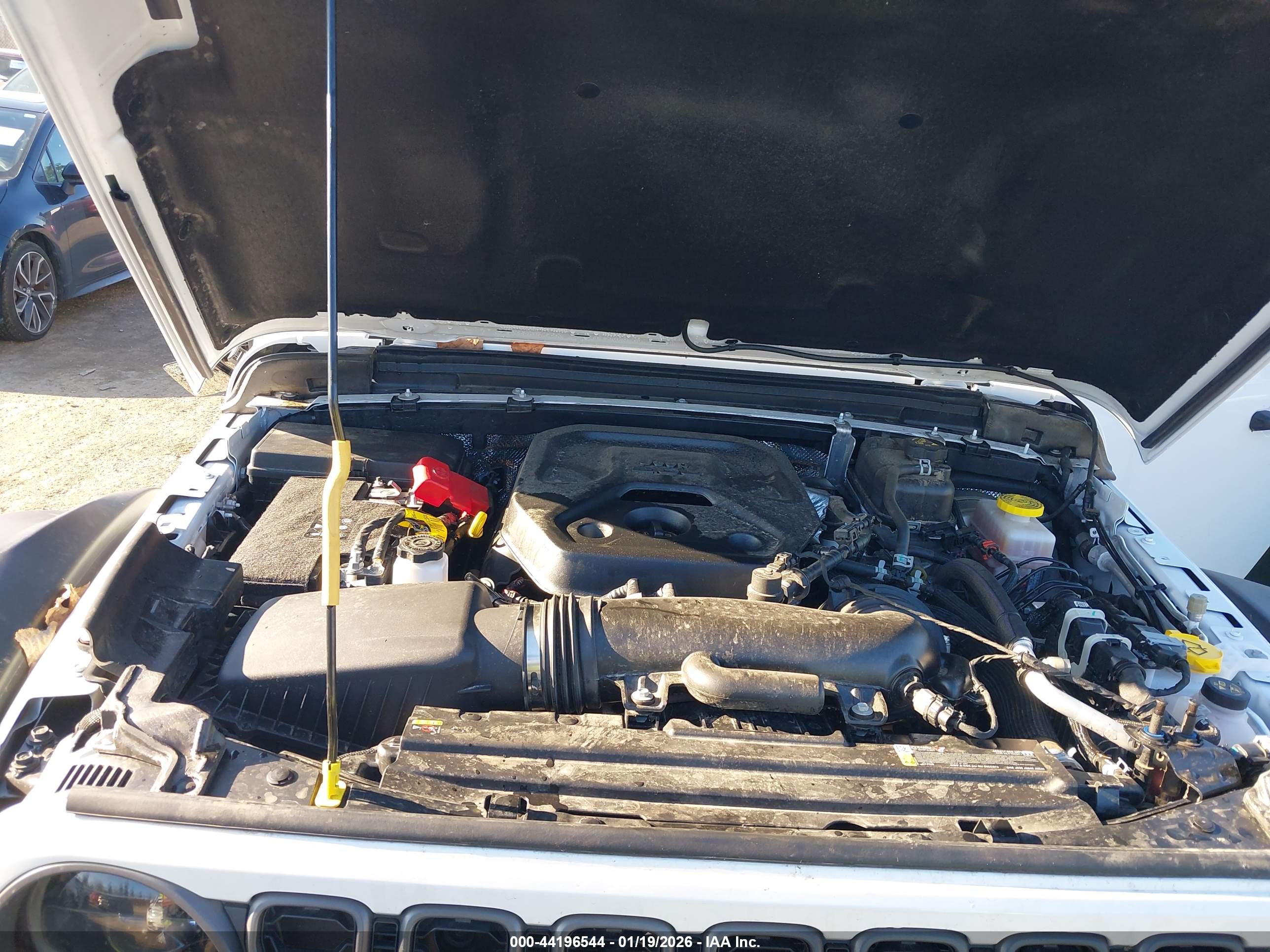 JEEP WRANGLER image 10