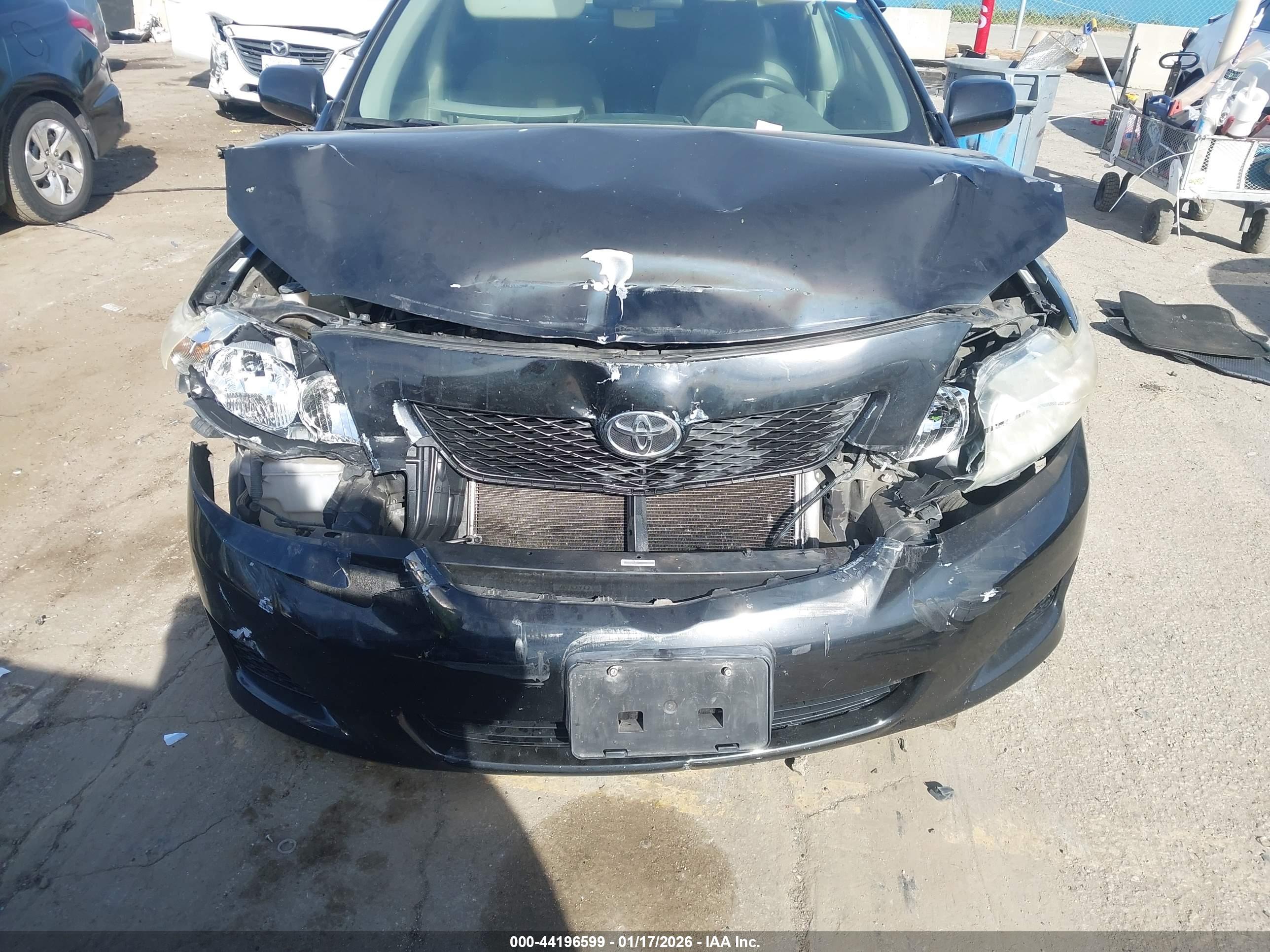 TOYOTA COROLLA image 6