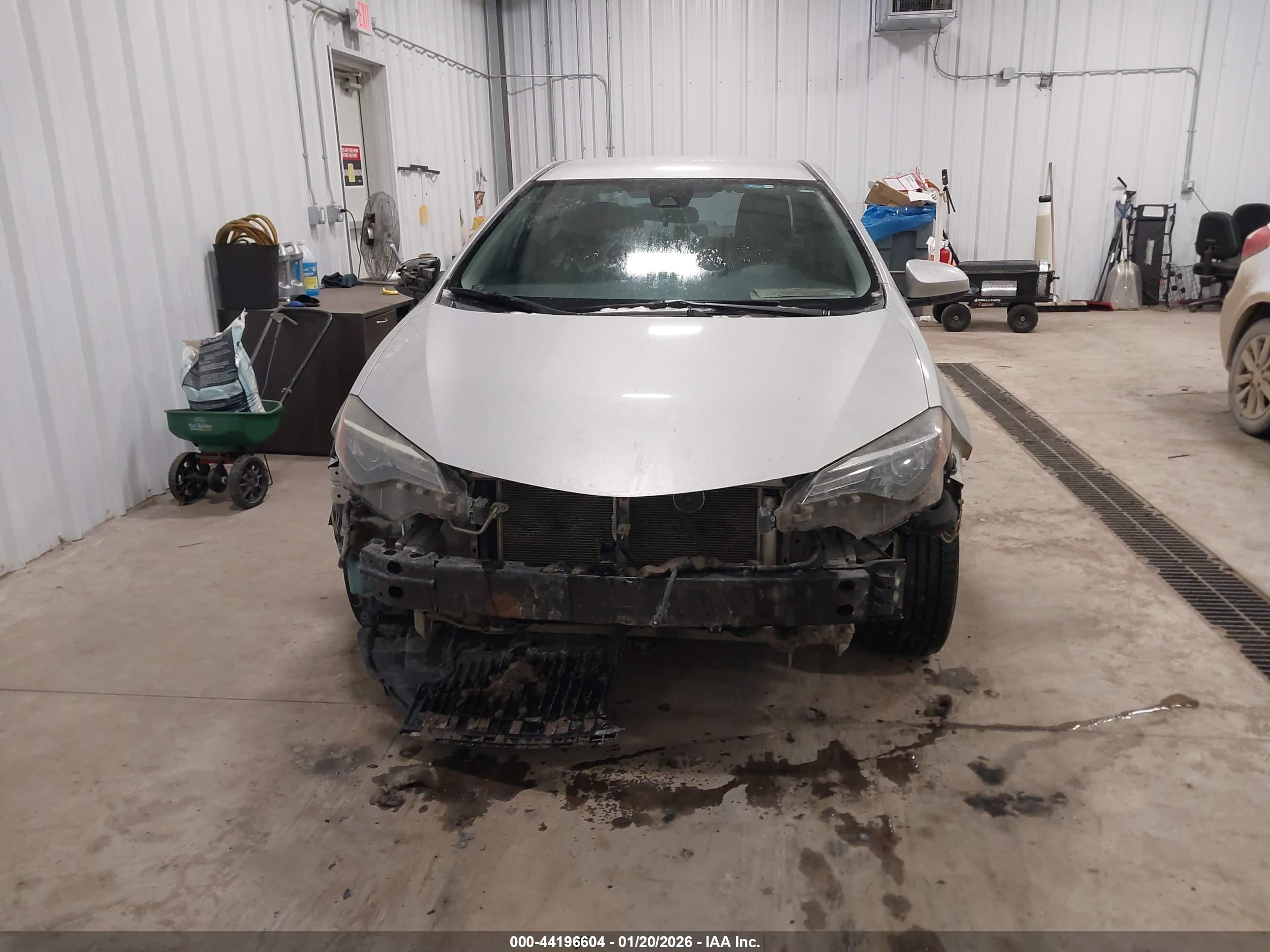 TOYOTA COROLLA image 6