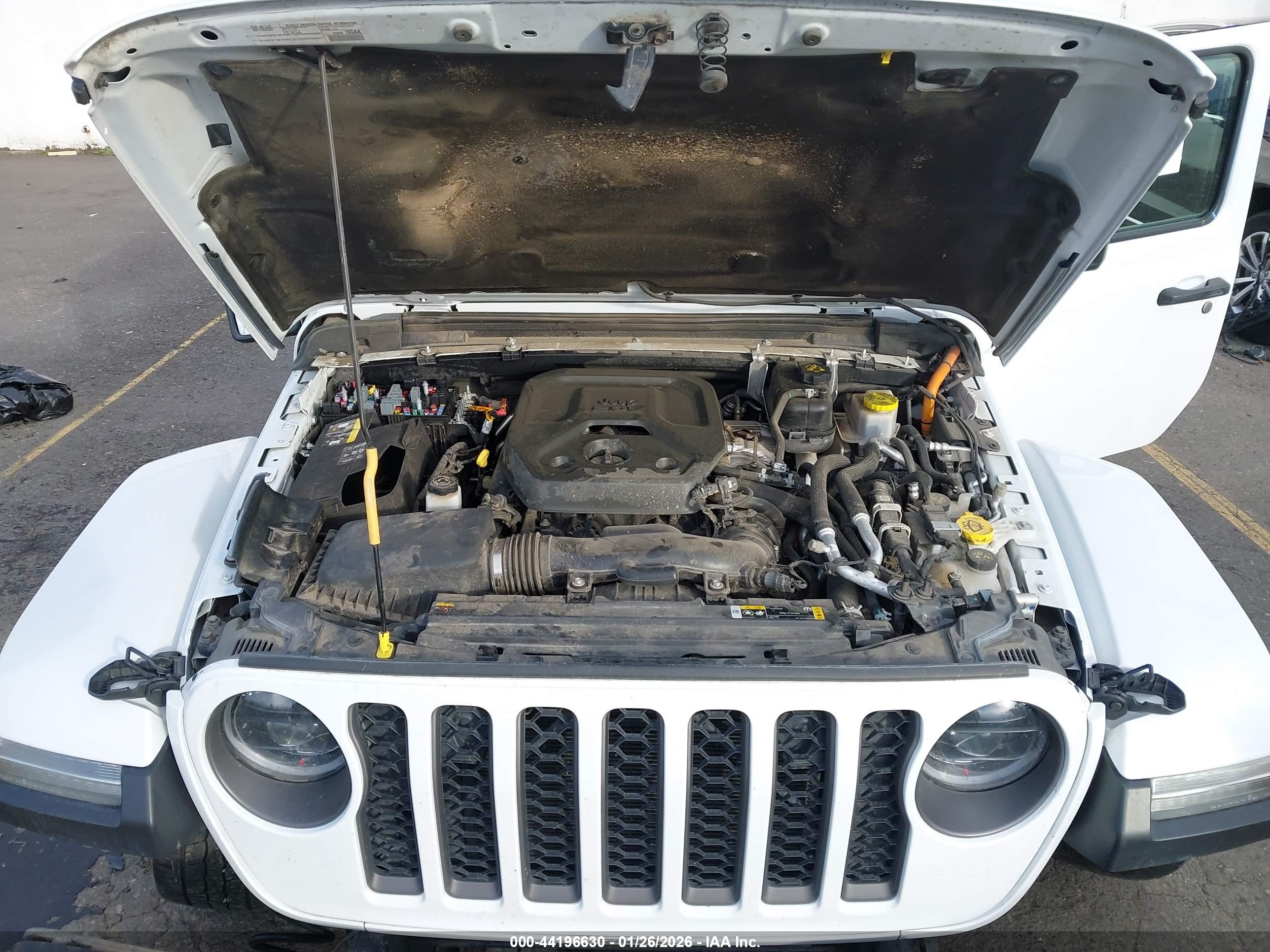 JEEP WRANGLER image 10