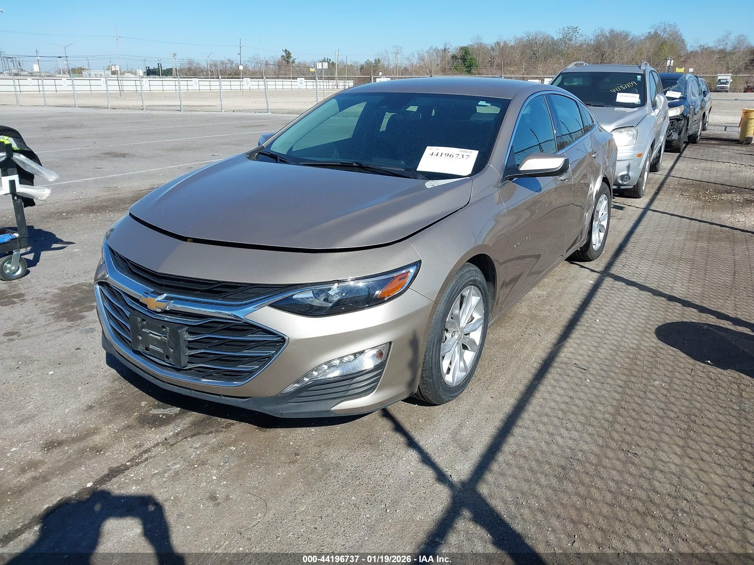CHEVROLET MALIBU image 2