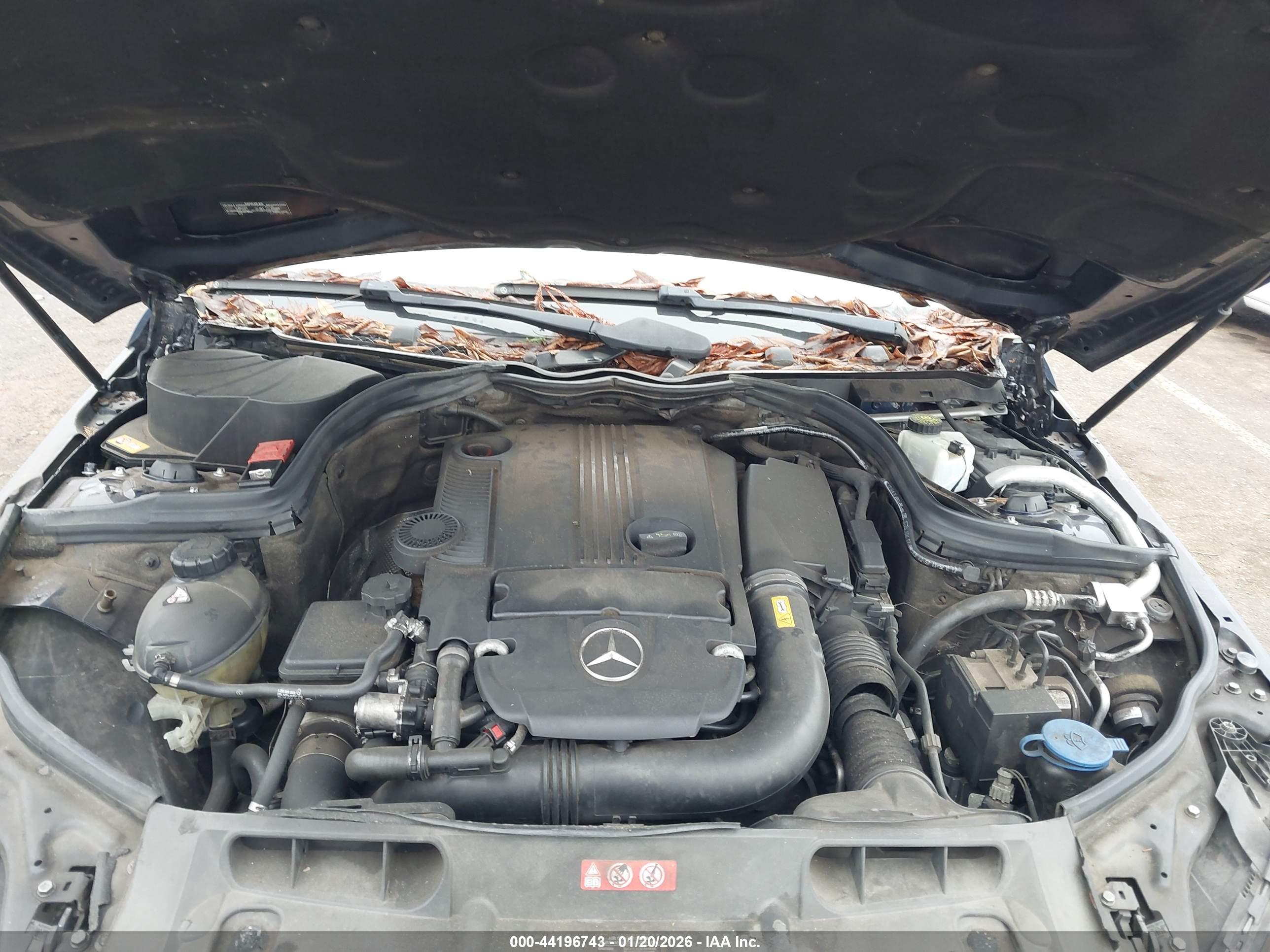 MERCEDES-BENZ C image 10