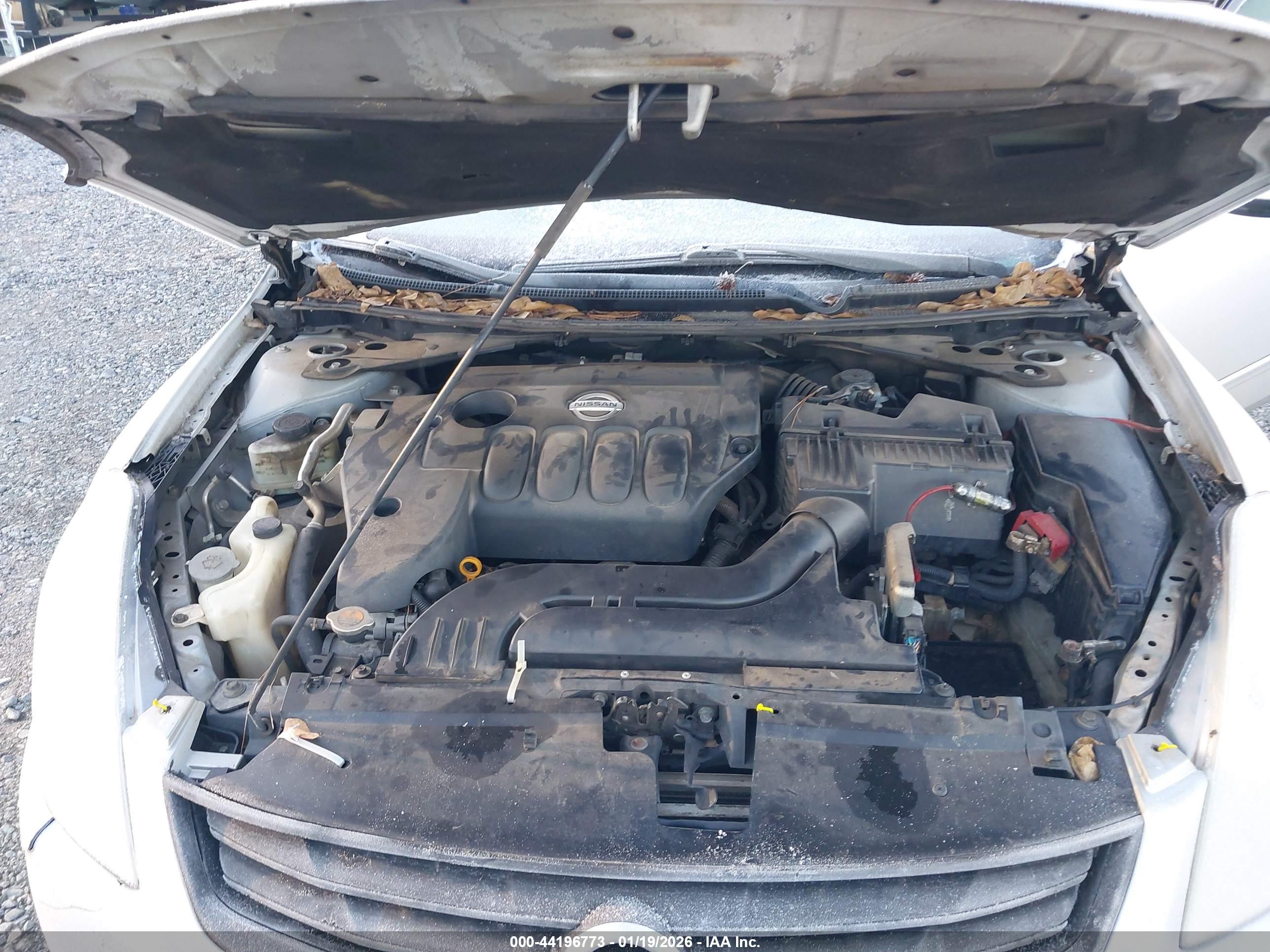 NISSAN ALTIMA image 10