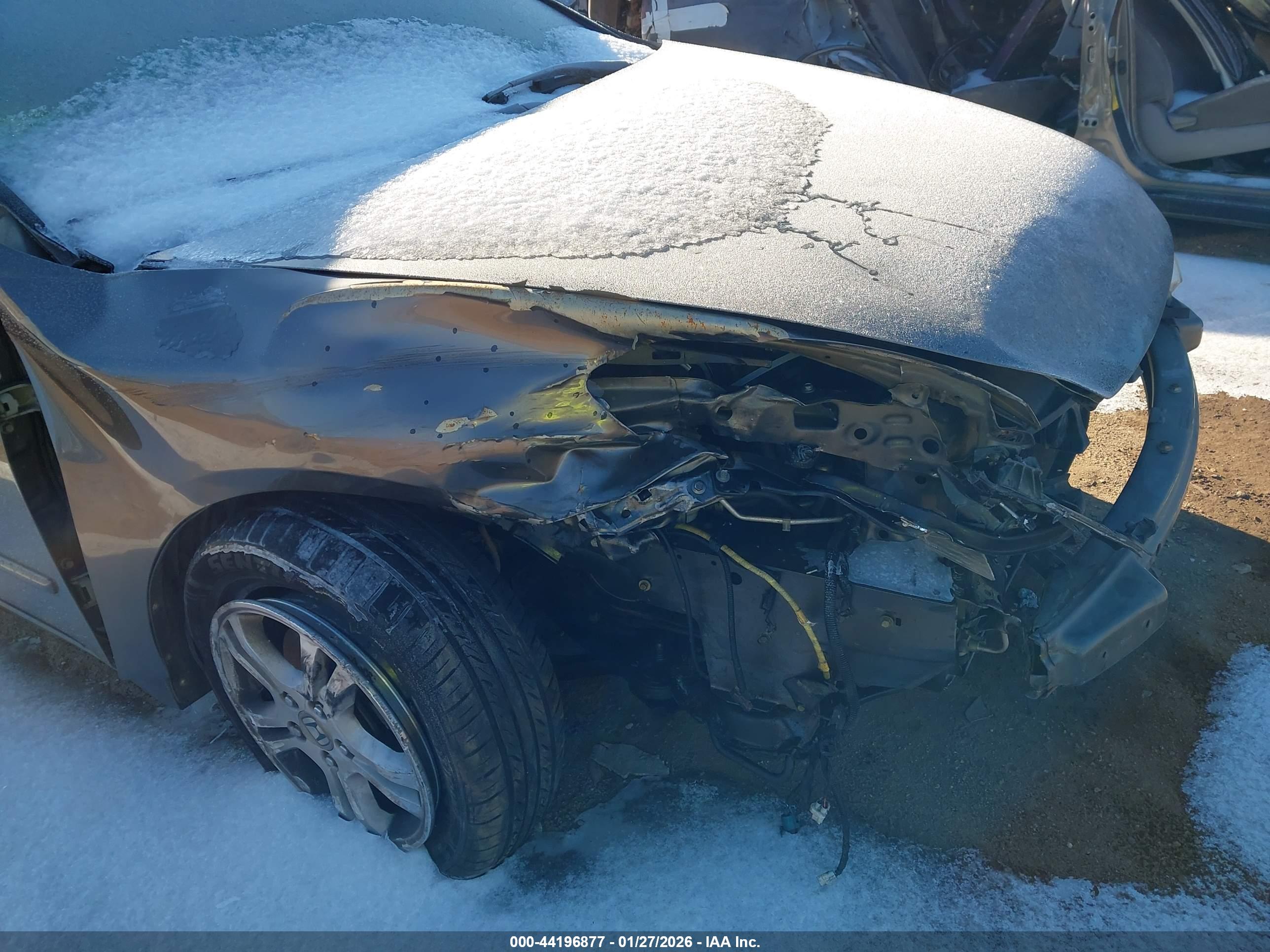 HONDA ACCORD image 6
