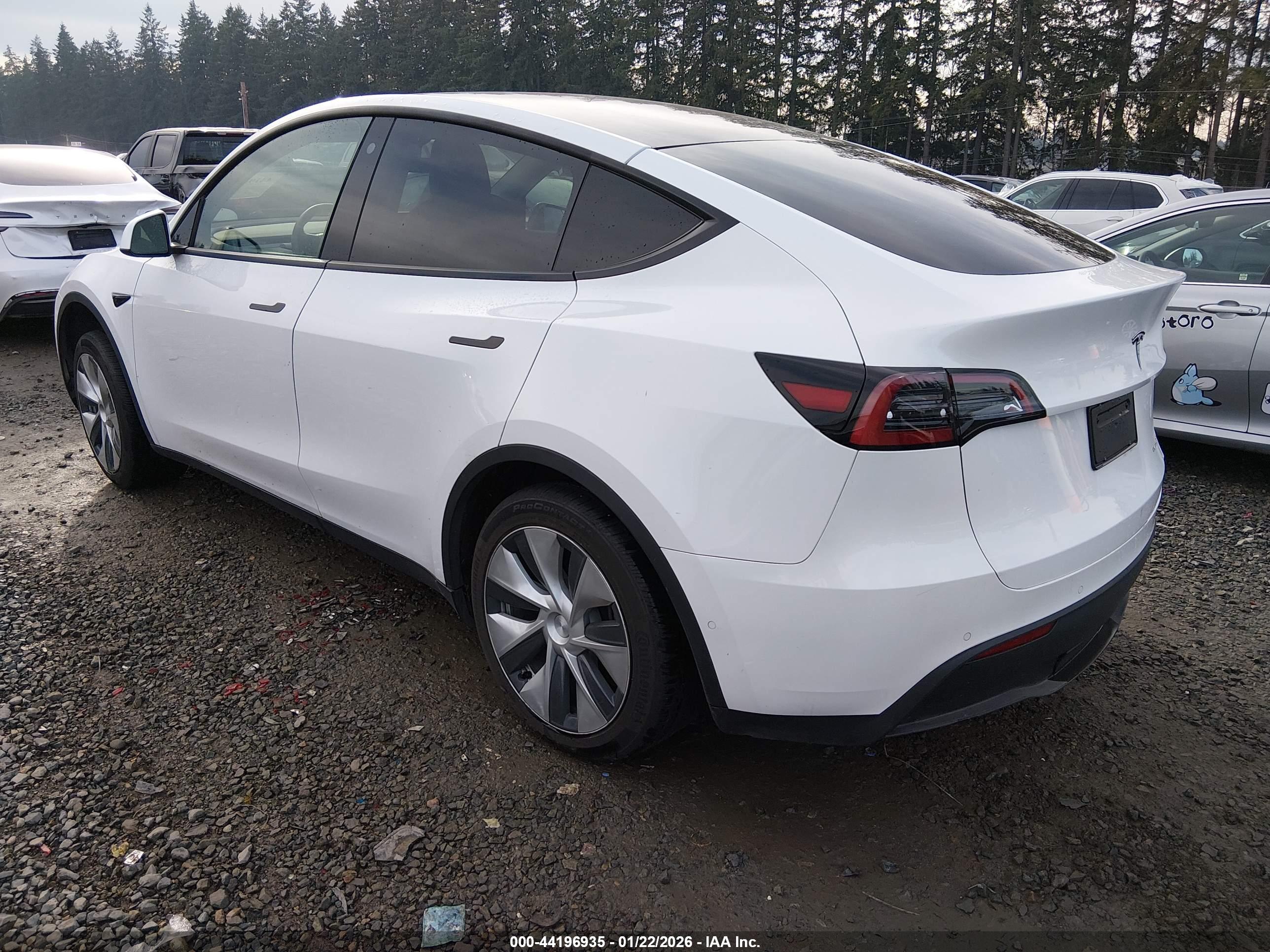 TESLA MODEL image 3